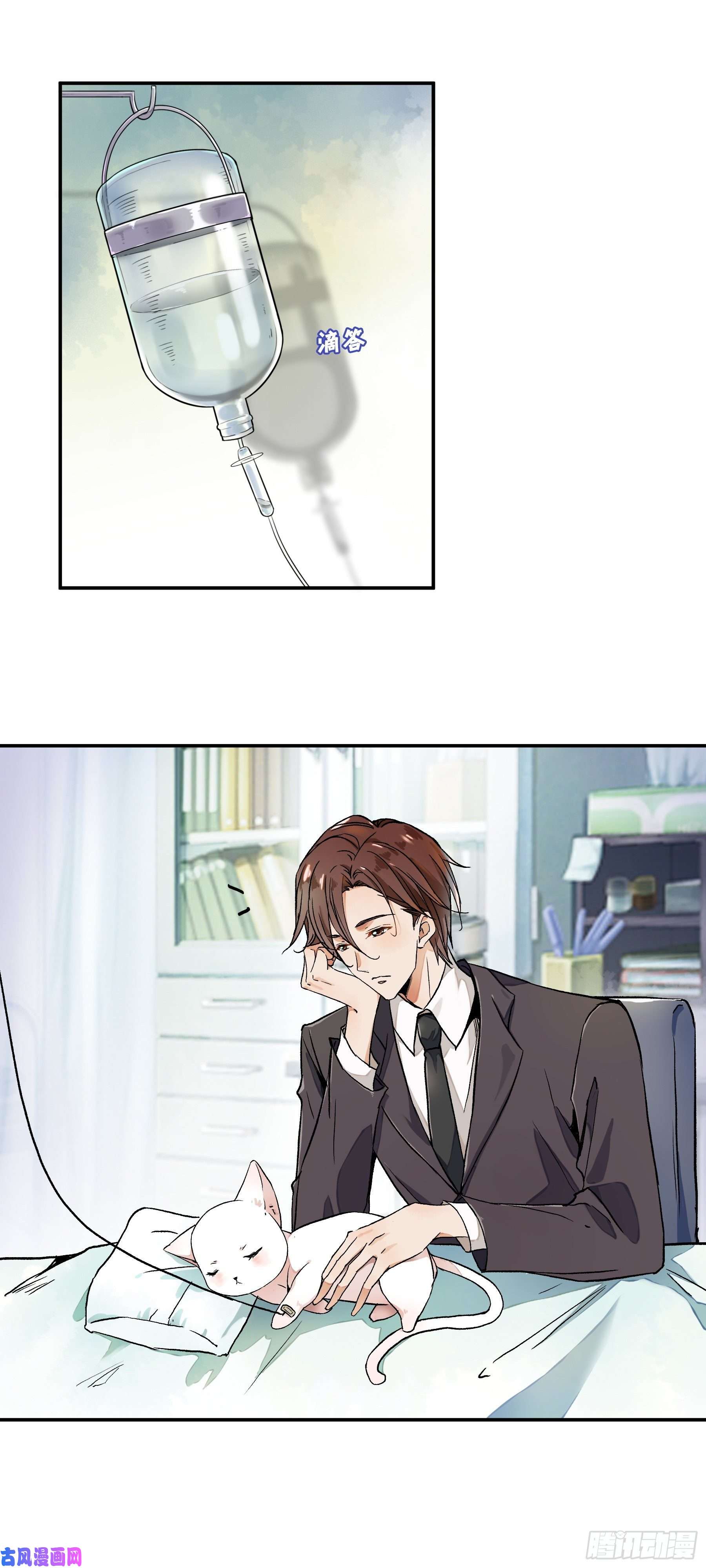 上仙，缺猫否？终于找到你了