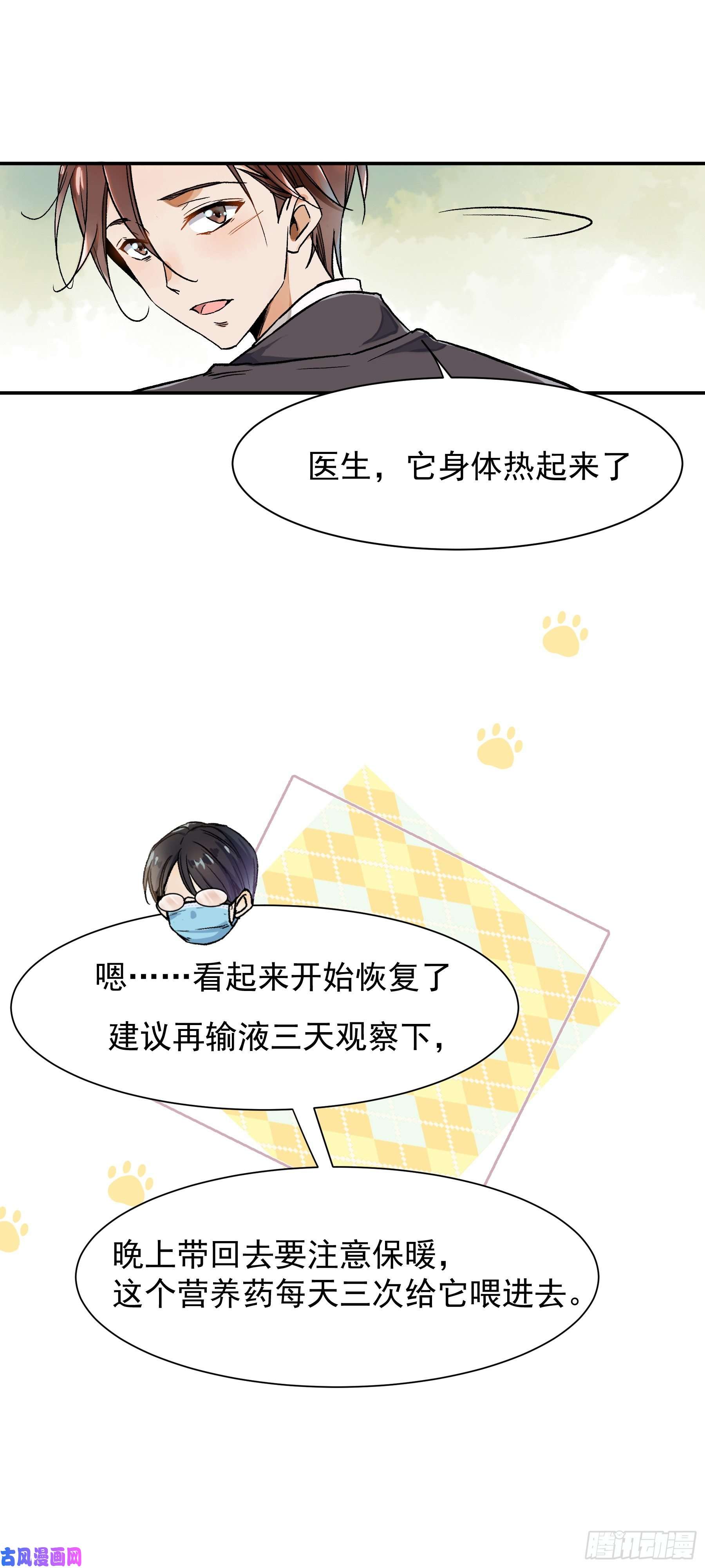 上仙，缺猫否？终于找到你了