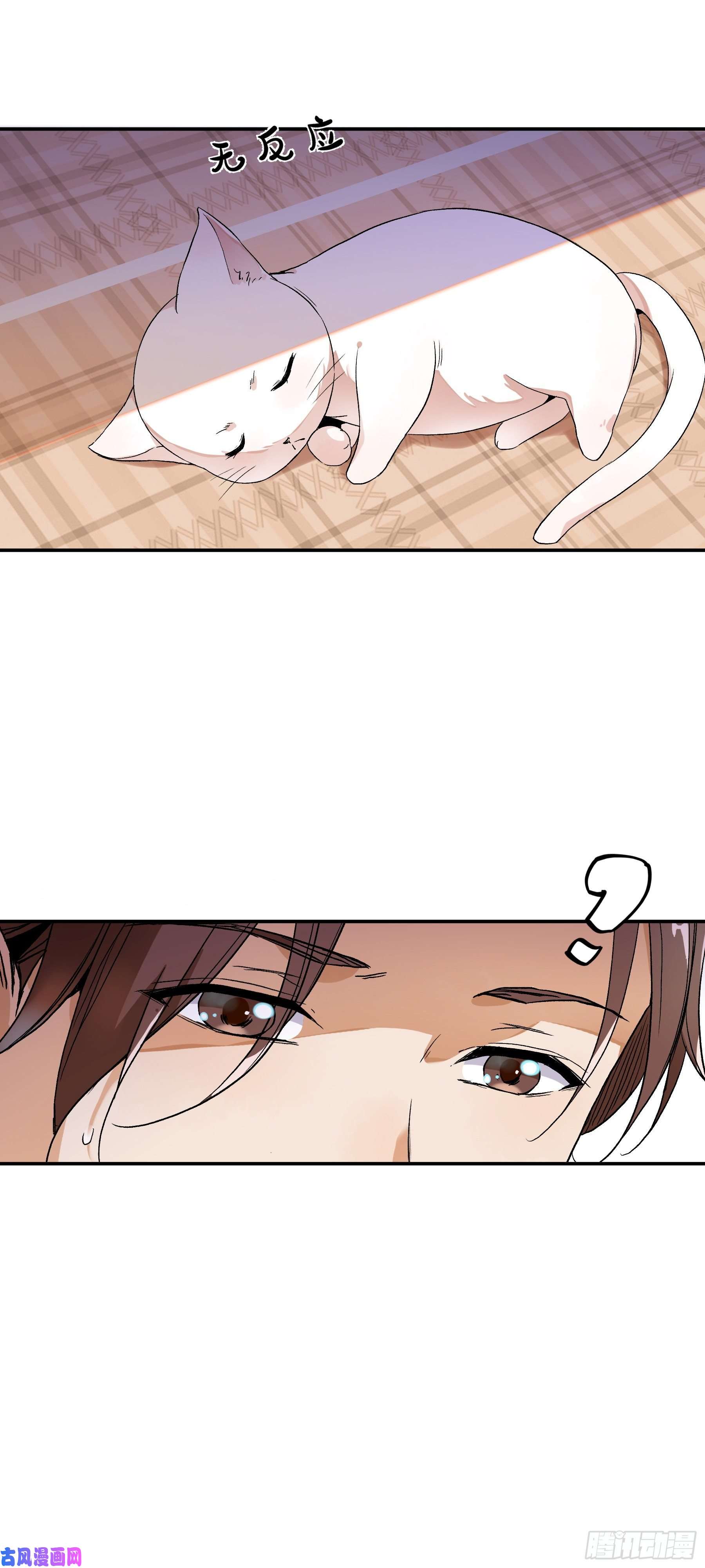 上仙，缺猫否？终于找到你了