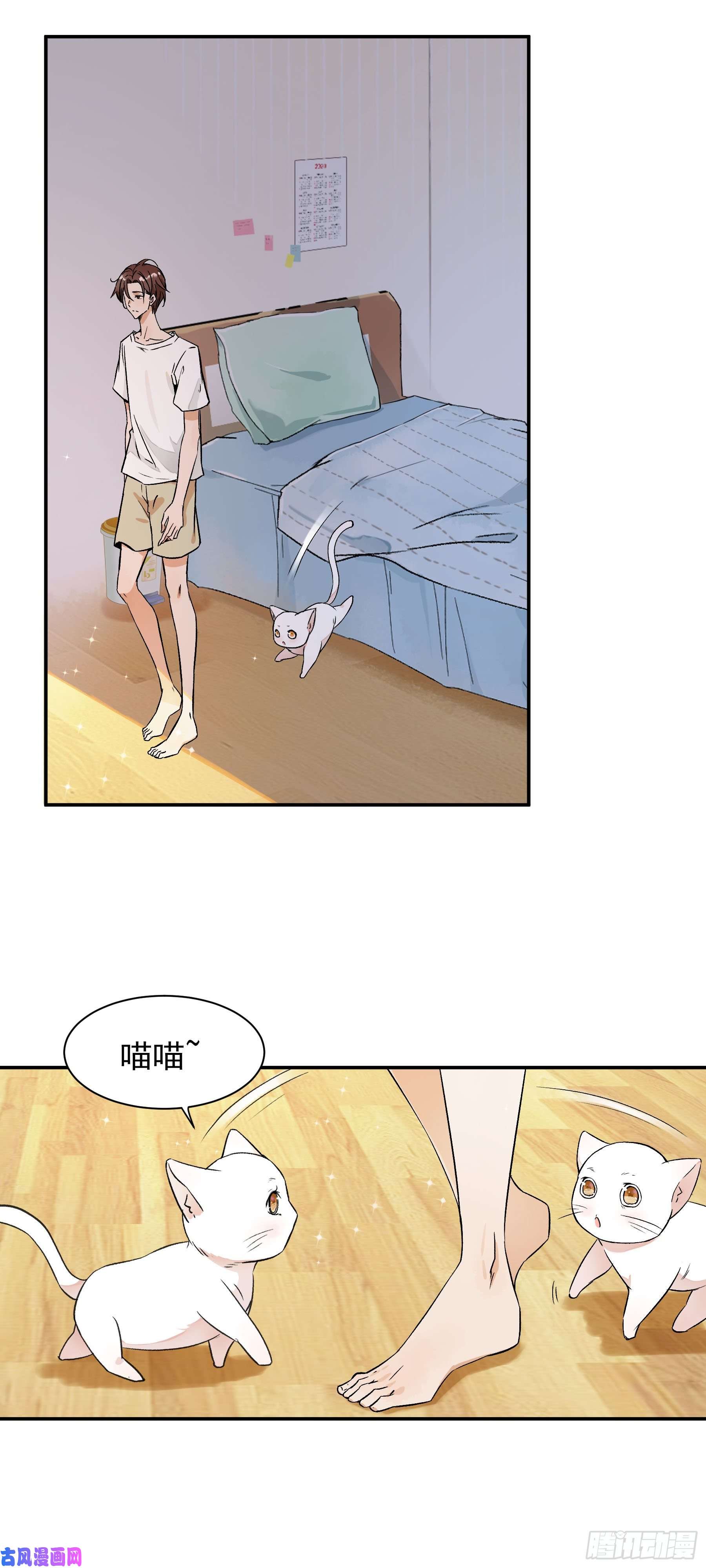 上仙，缺猫否？变不话来了