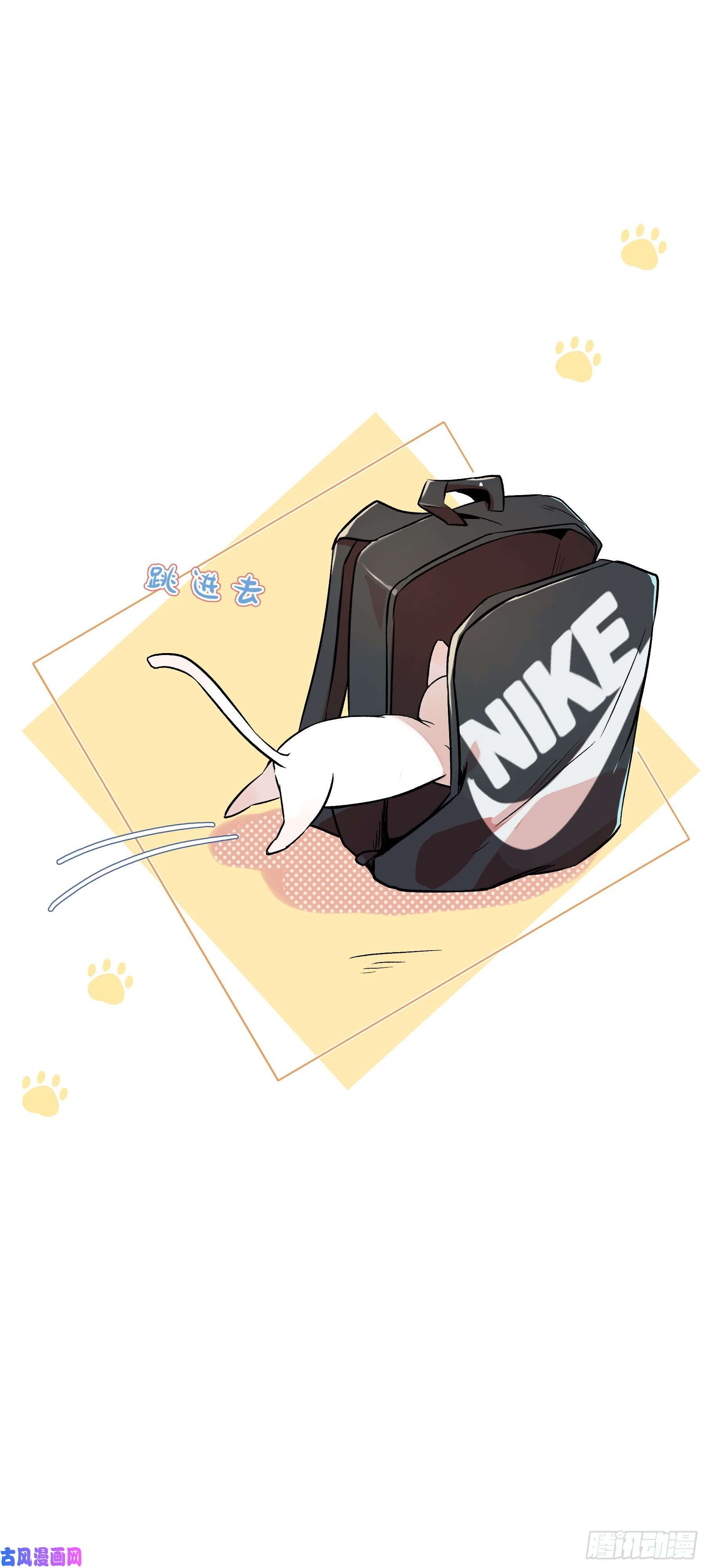 上仙，缺猫否？变不话来了