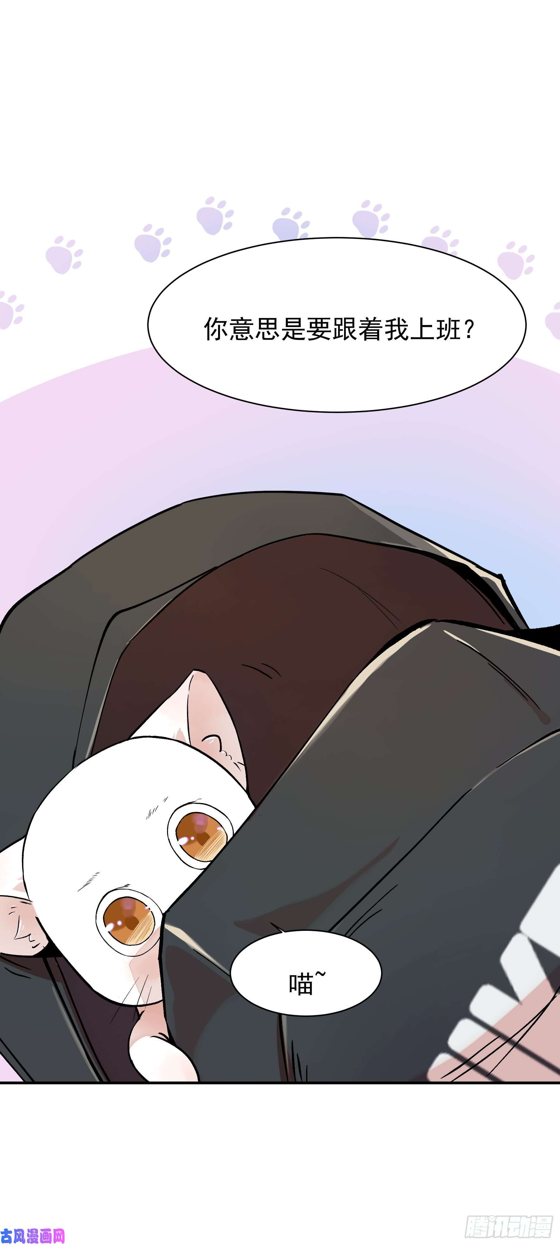 上仙，缺猫否？变不话来了