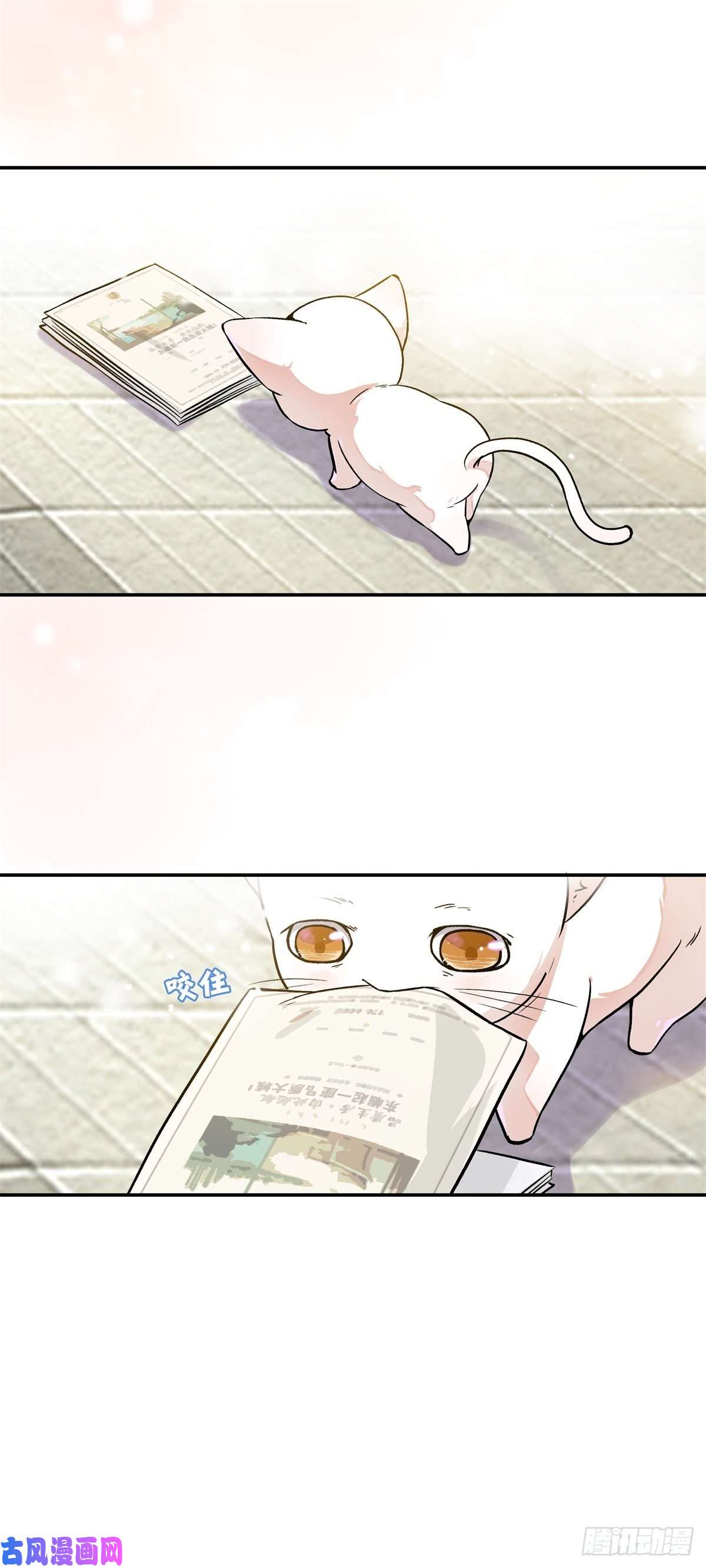 上仙，缺猫否？竟然开单了