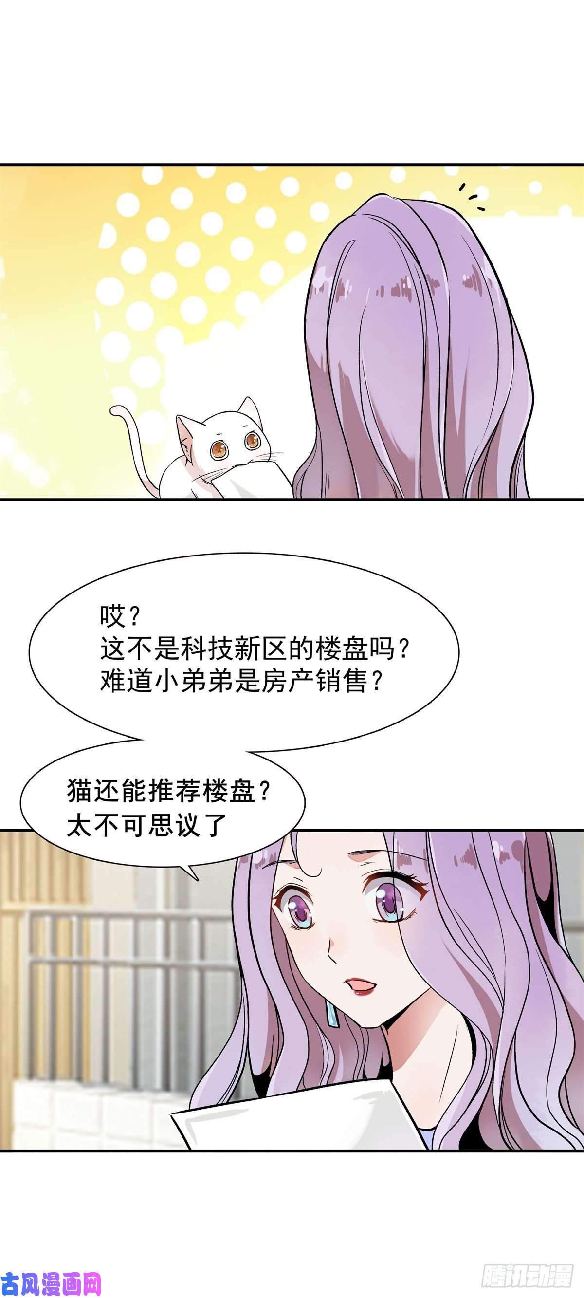 上仙，缺猫否？竟然开单了