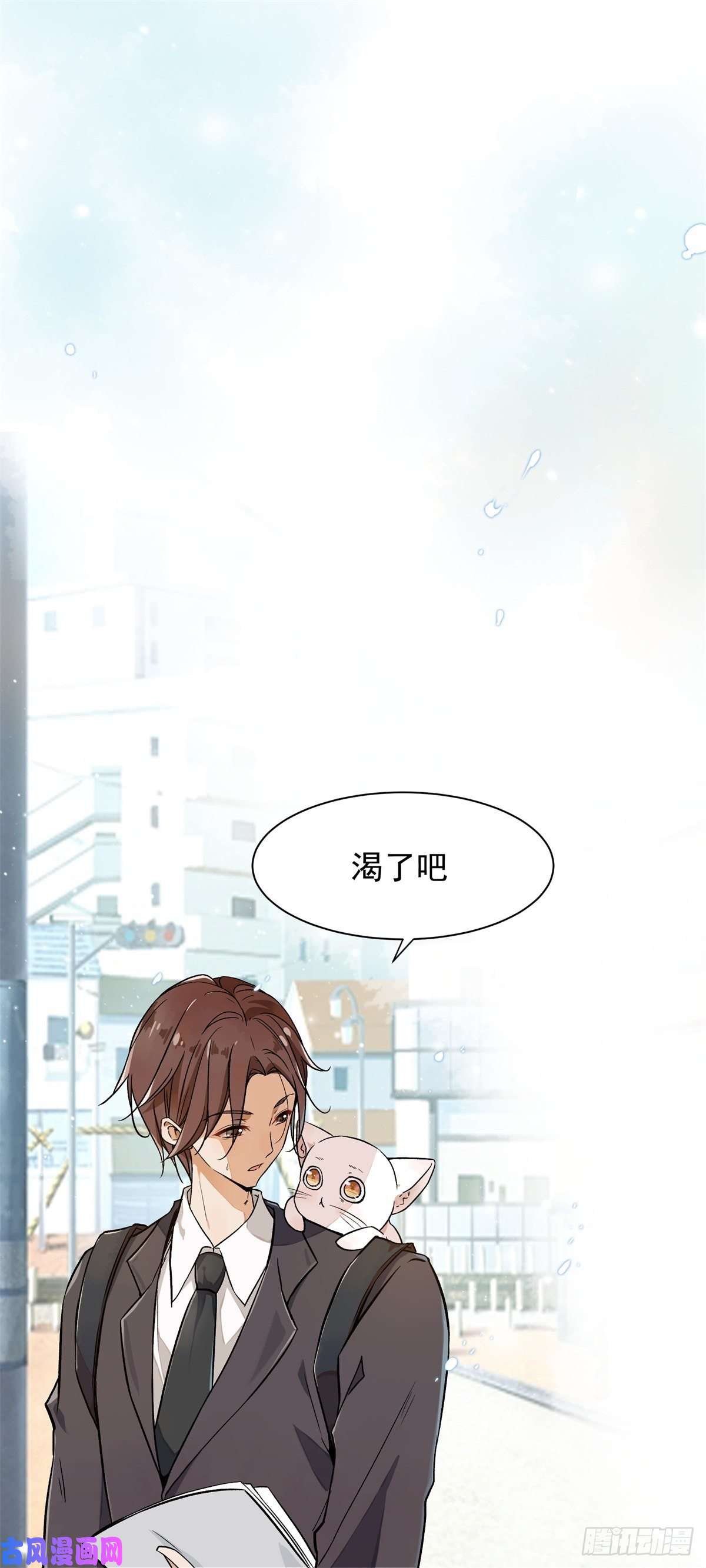 上仙，缺猫否？竟然开单了