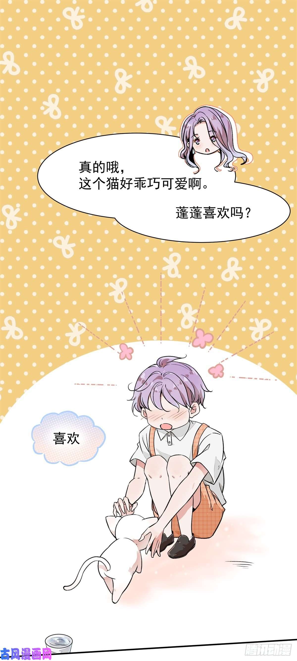 上仙，缺猫否？竟然开单了