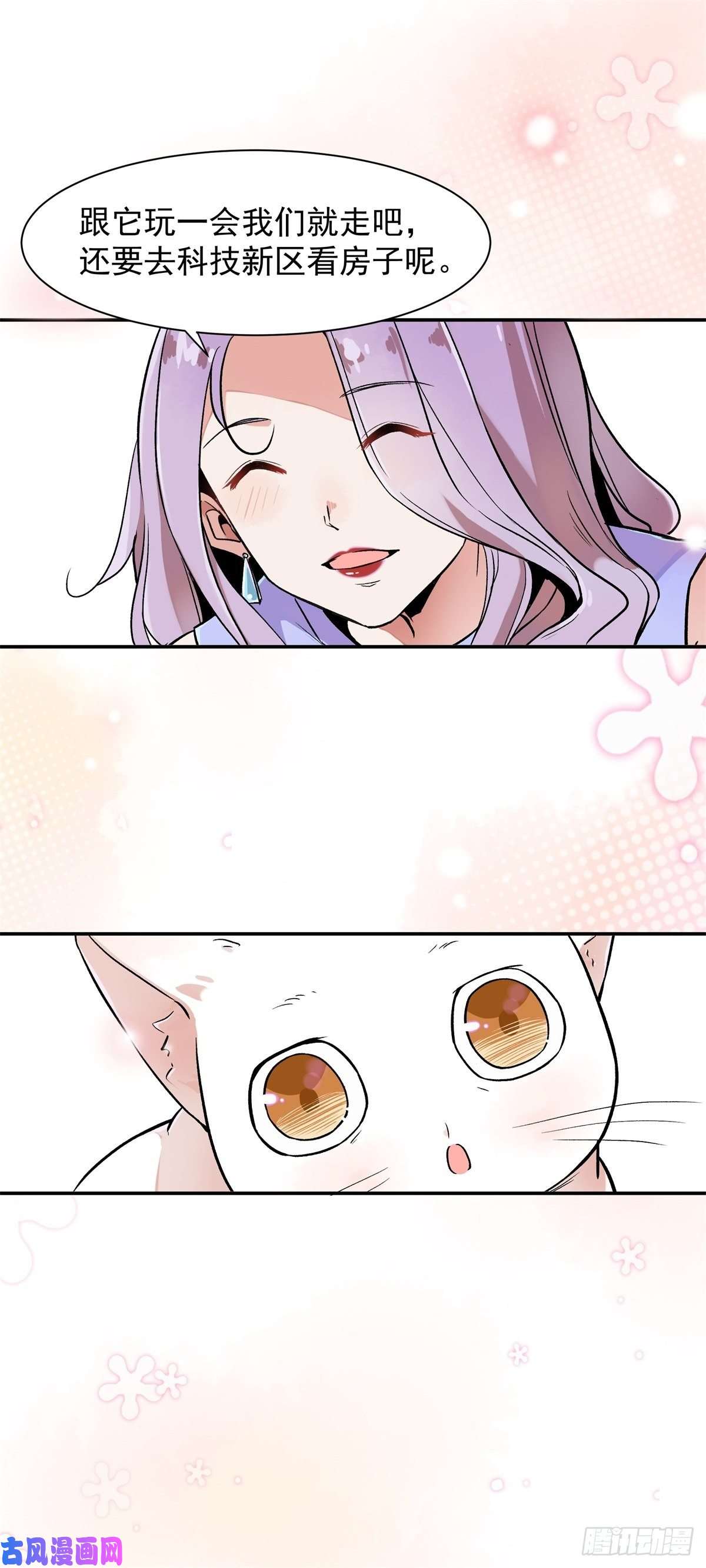 上仙，缺猫否？竟然开单了