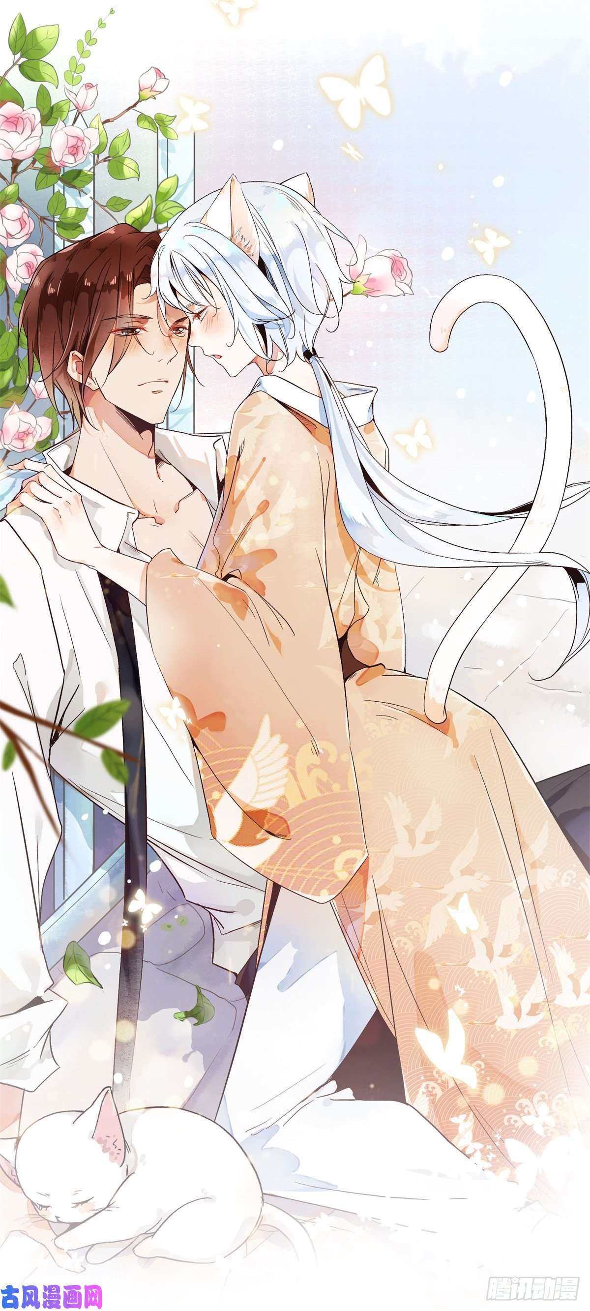 上仙，缺猫否？网红猫