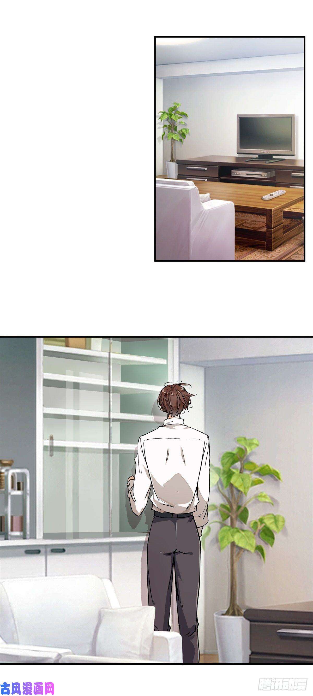 上仙，缺猫否？网红猫