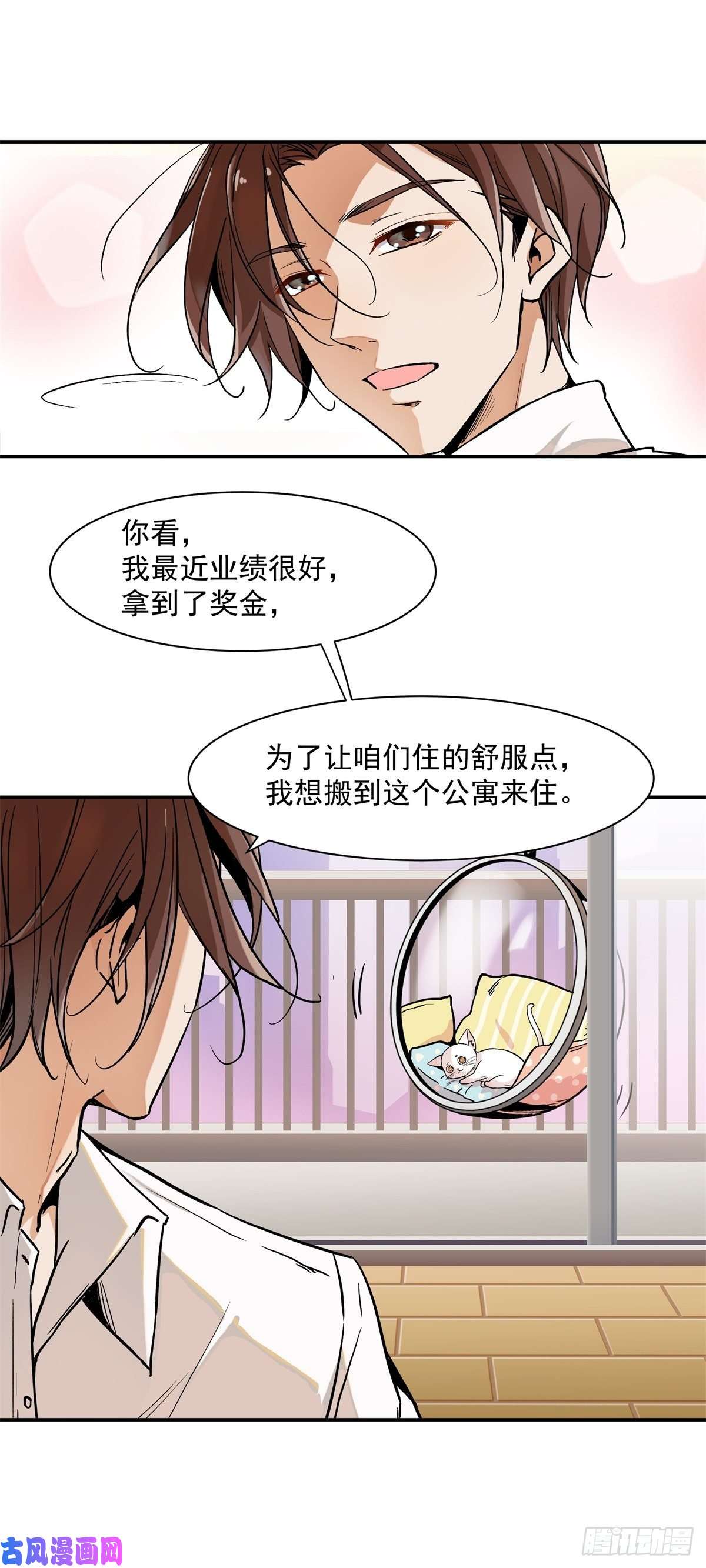 上仙，缺猫否？网红猫