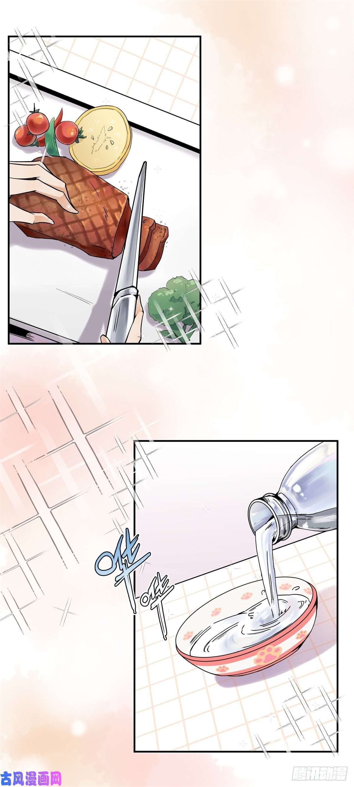 上仙，缺猫否？网红猫