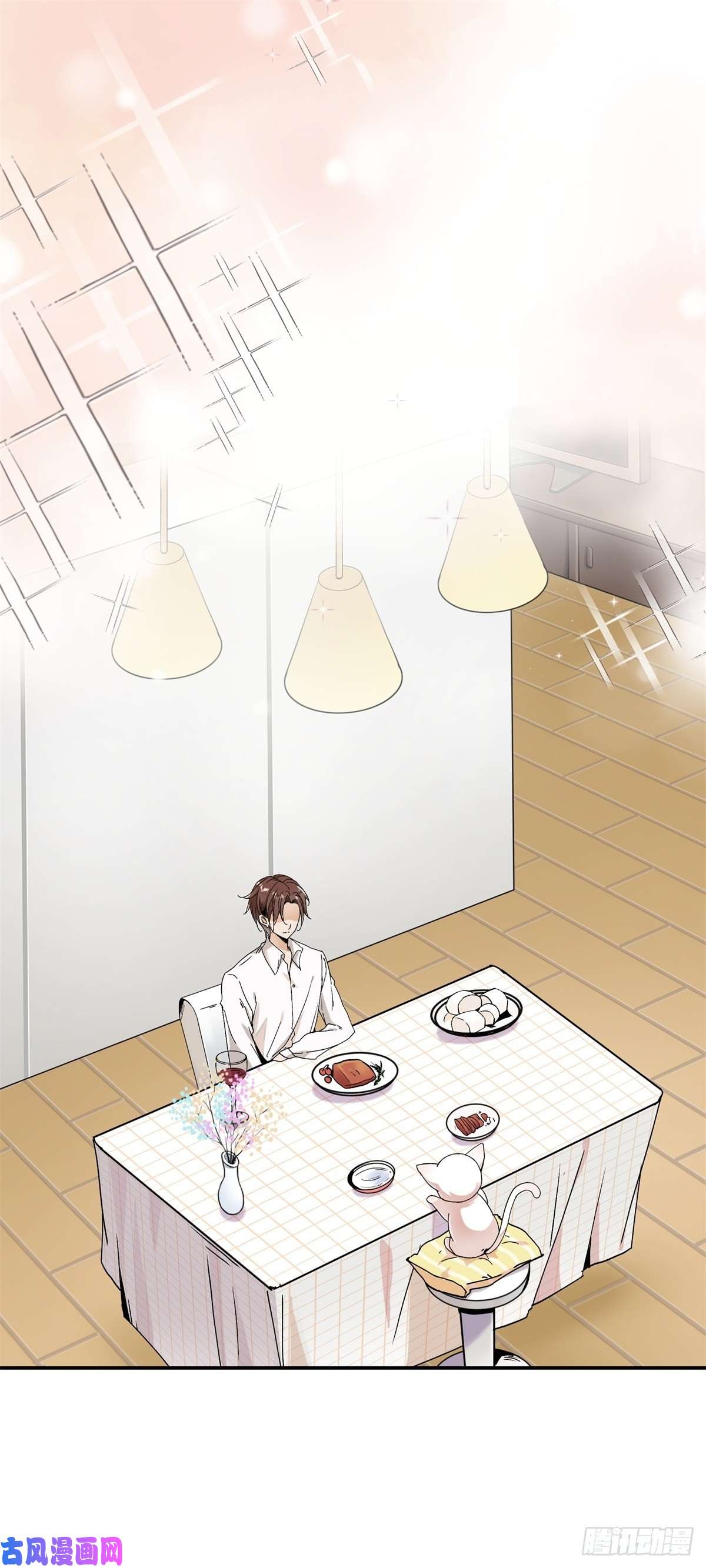 上仙，缺猫否？网红猫