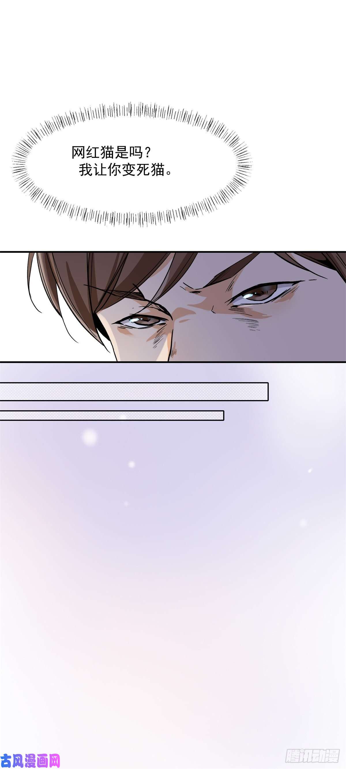 上仙，缺猫否？网红猫