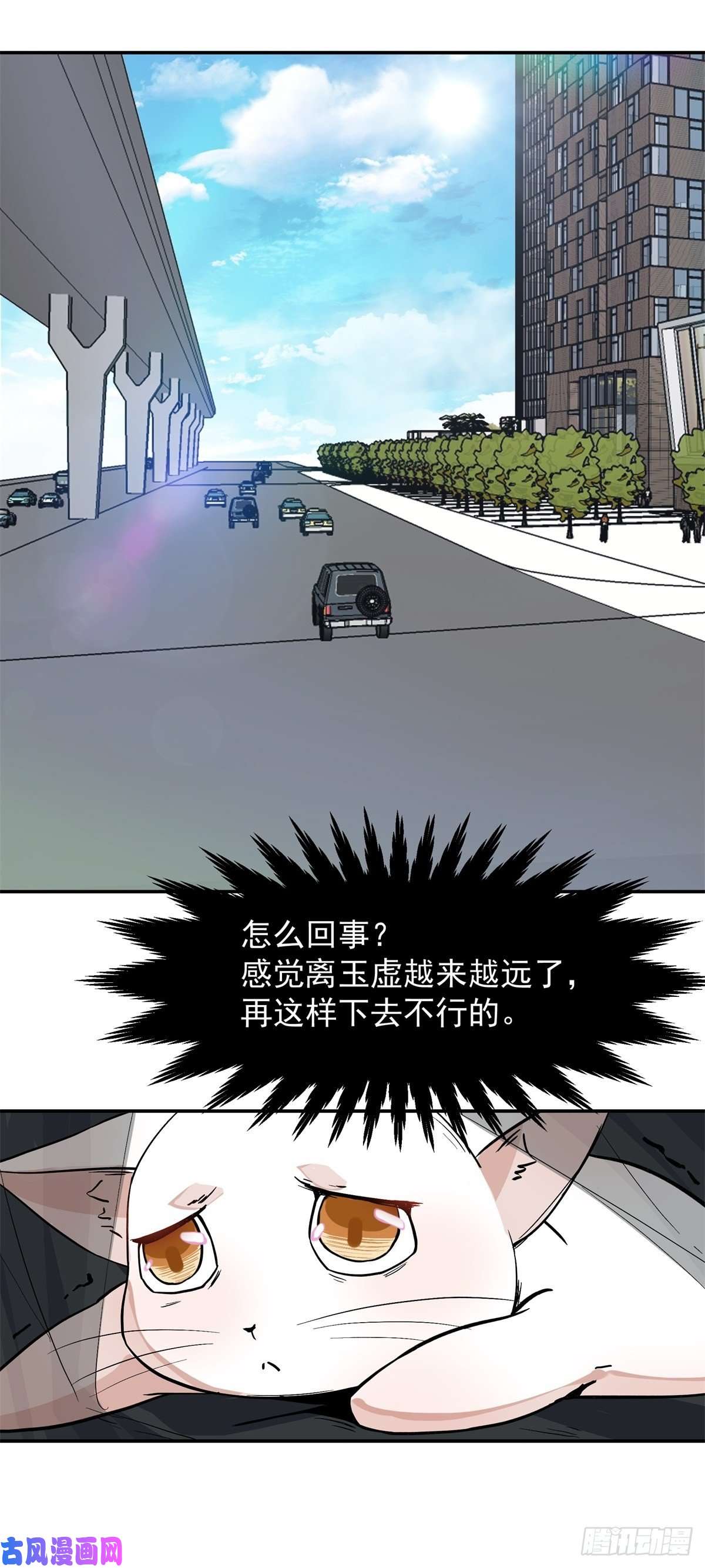 上仙，缺猫否？谋害一只猫