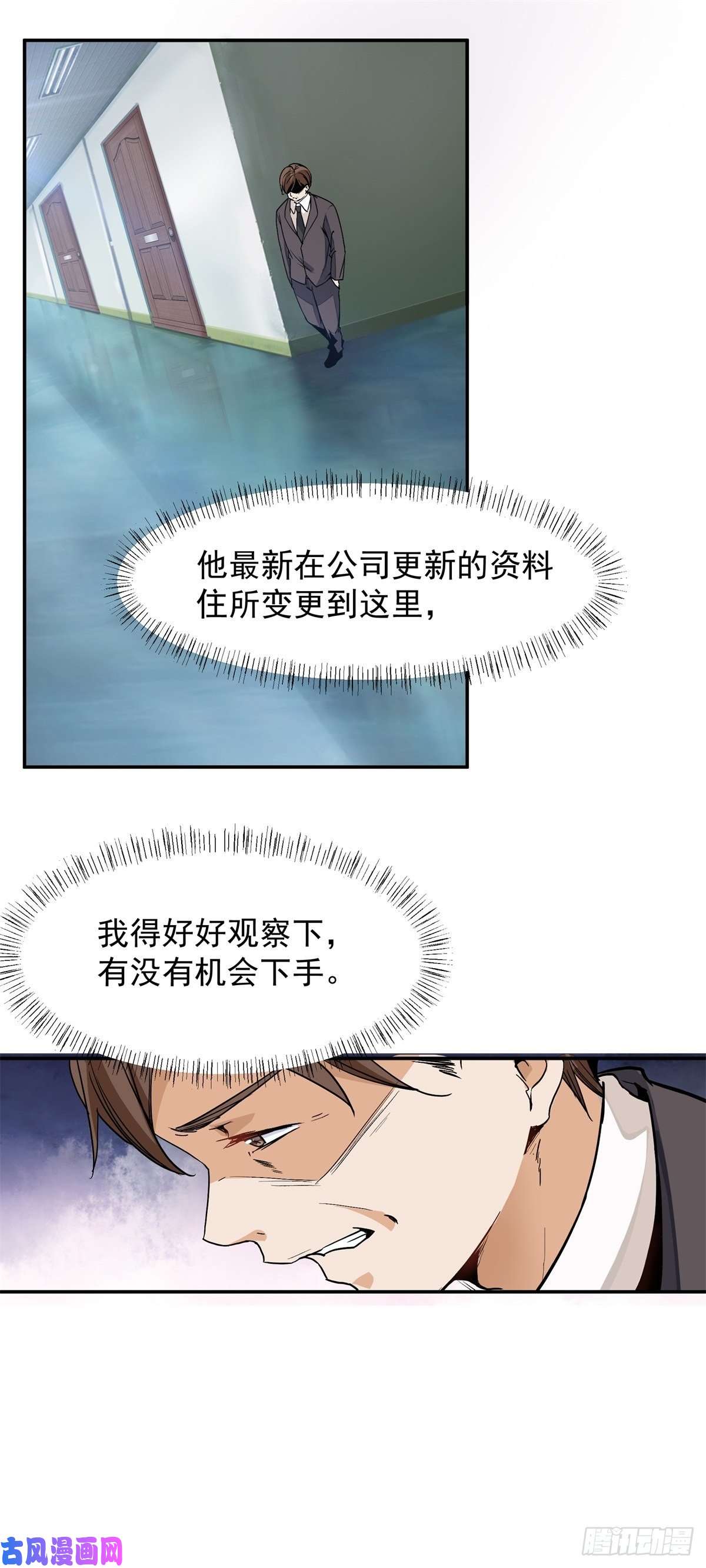 上仙，缺猫否？谋害一只猫