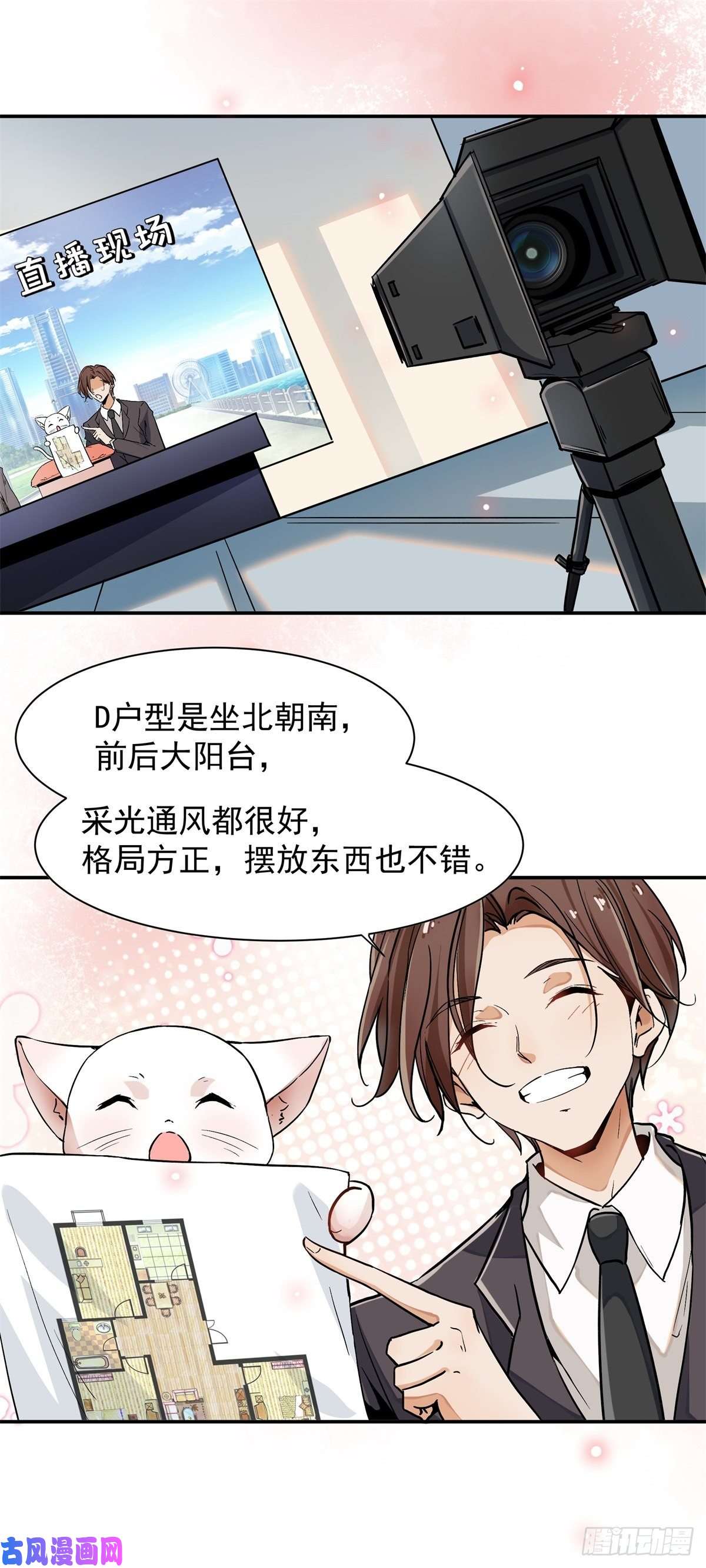 上仙，缺猫否？谋害一只猫
