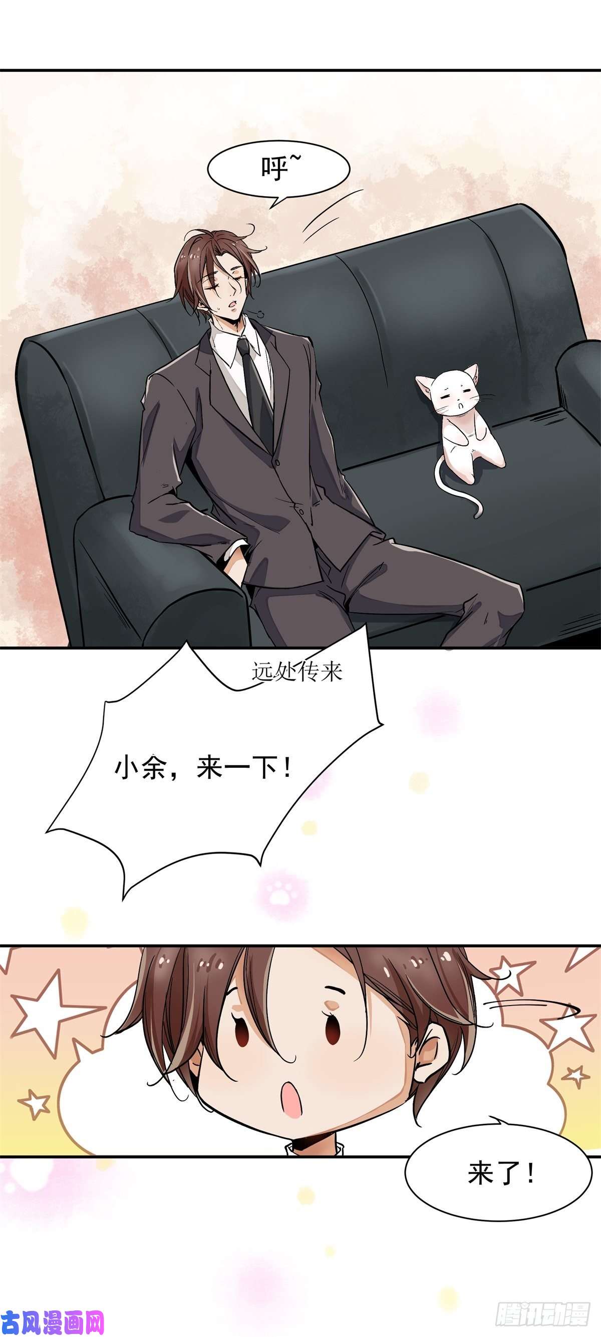 上仙，缺猫否？谋害一只猫