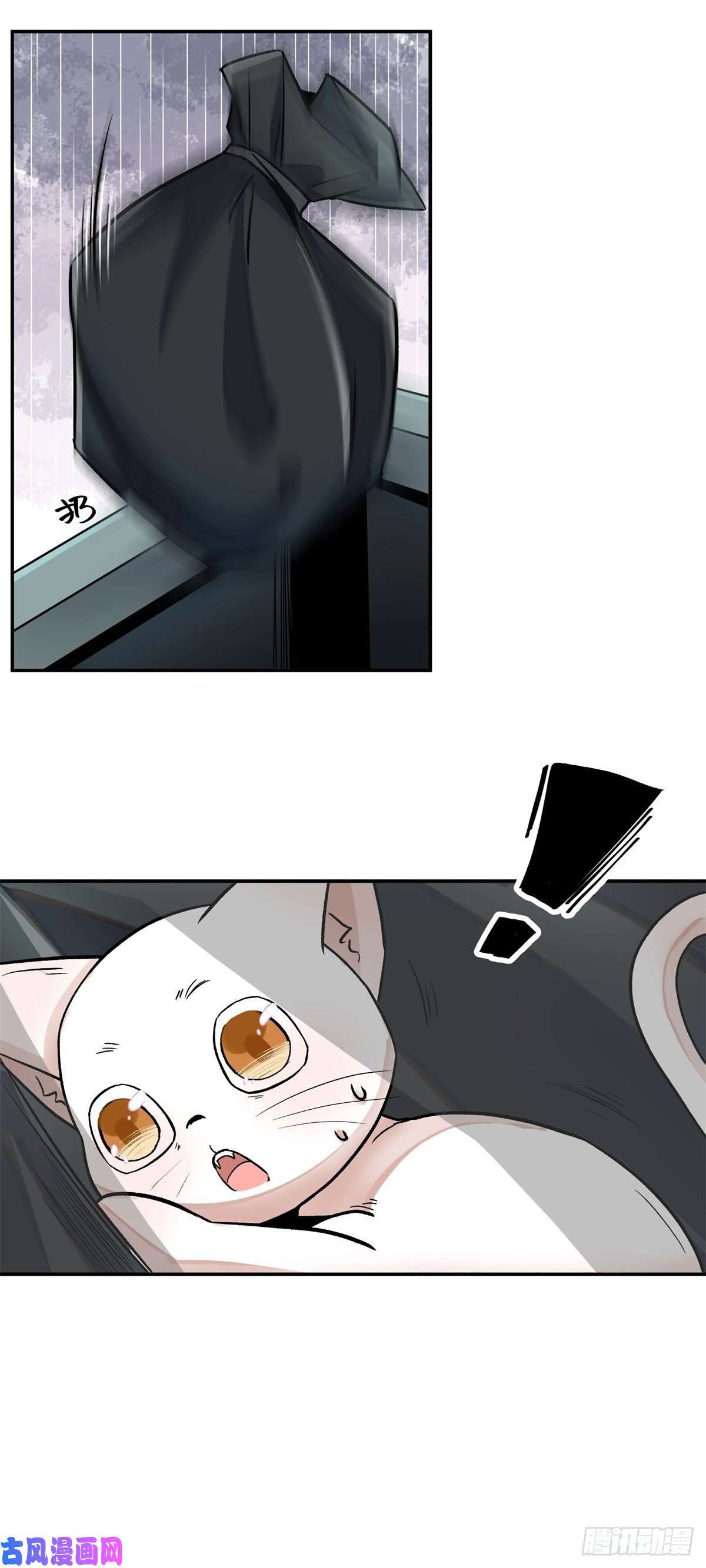 上仙，缺猫否？谋害一只猫