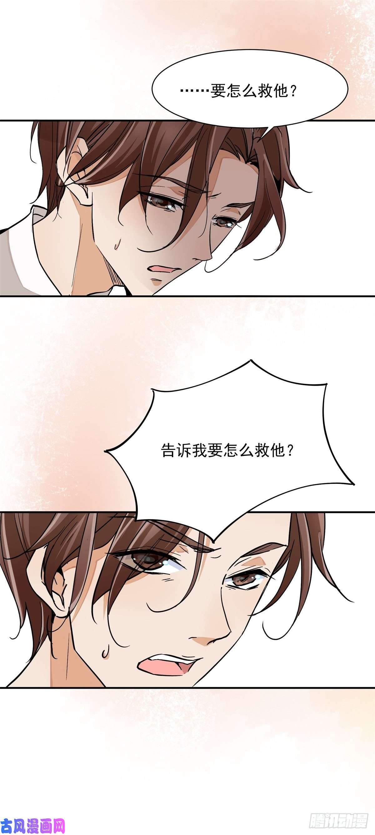上仙，缺猫否？前世今生