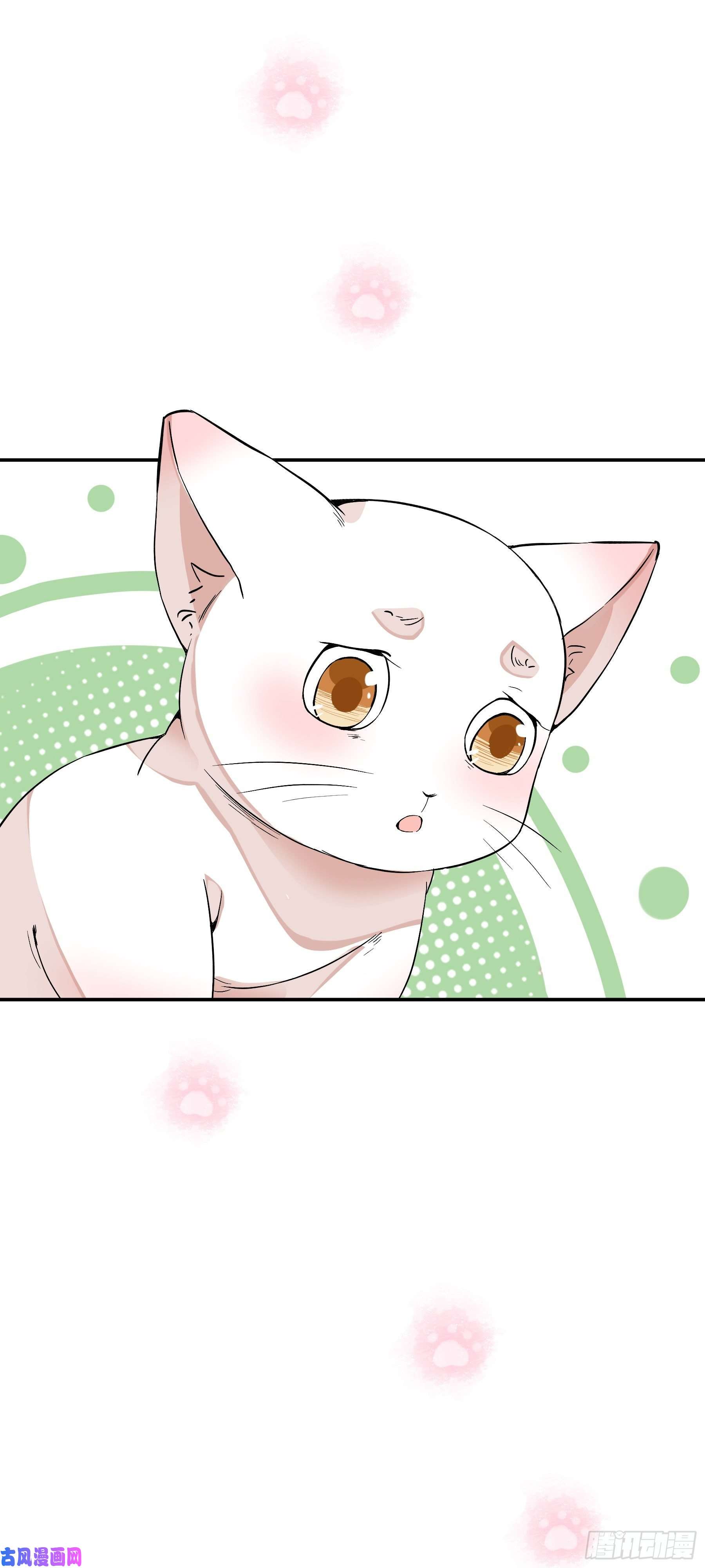上仙，缺猫否？魂魄碎片