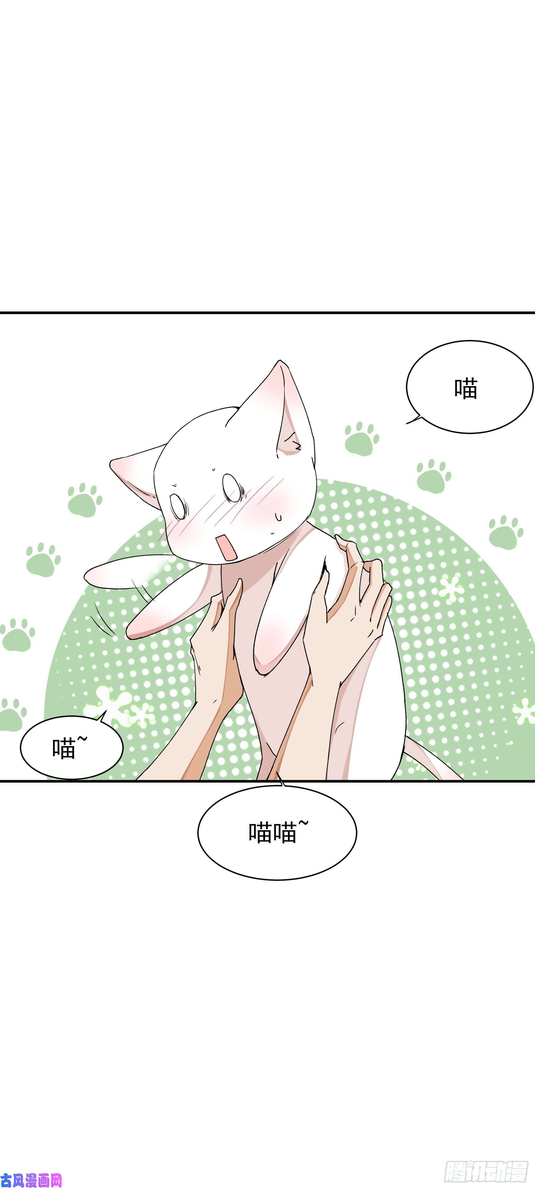 上仙，缺猫否？山雨欲来风满楼