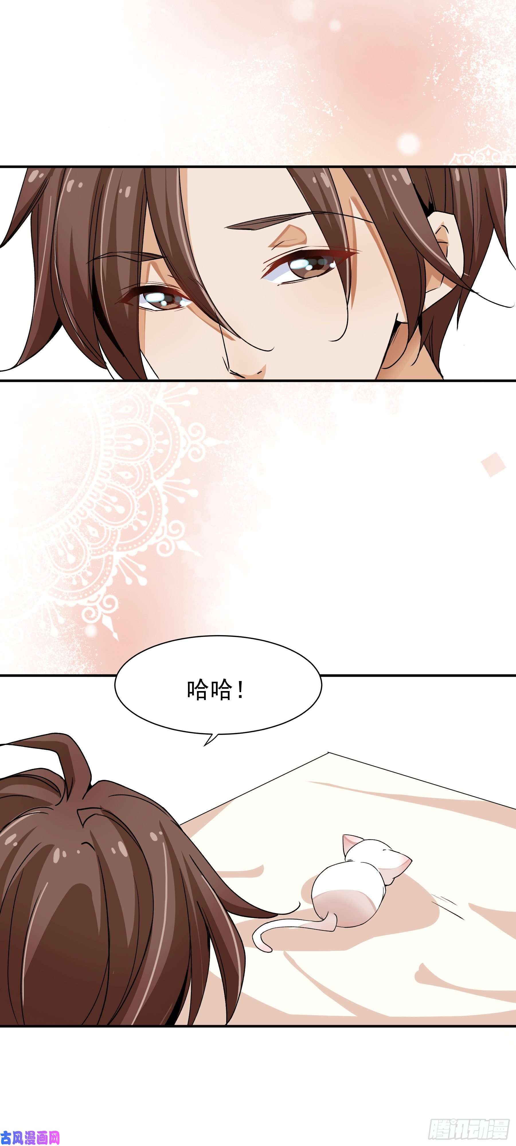 上仙，缺猫否？山雨欲来风满楼