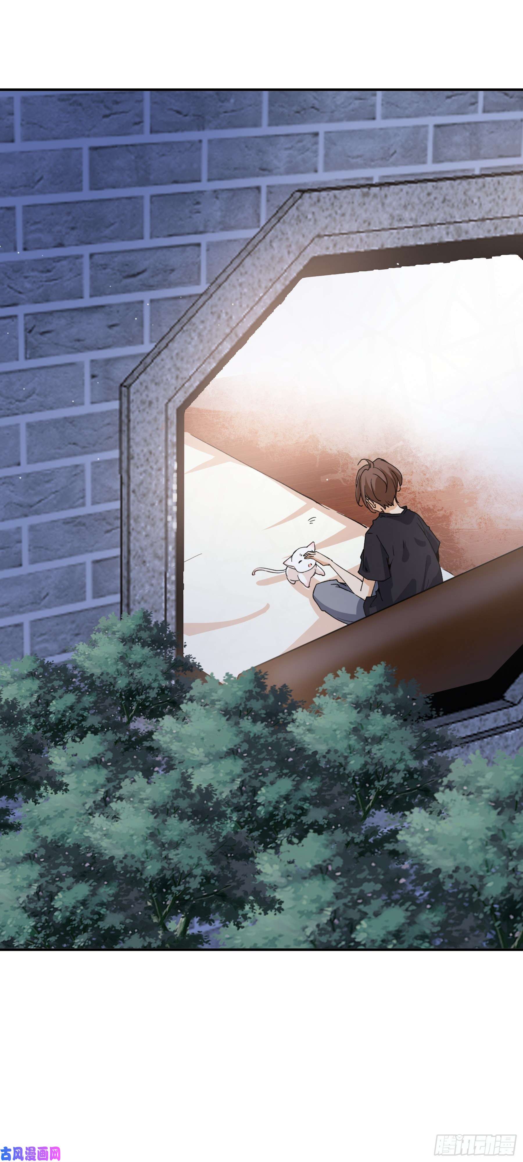 上仙，缺猫否？山雨欲来风满楼