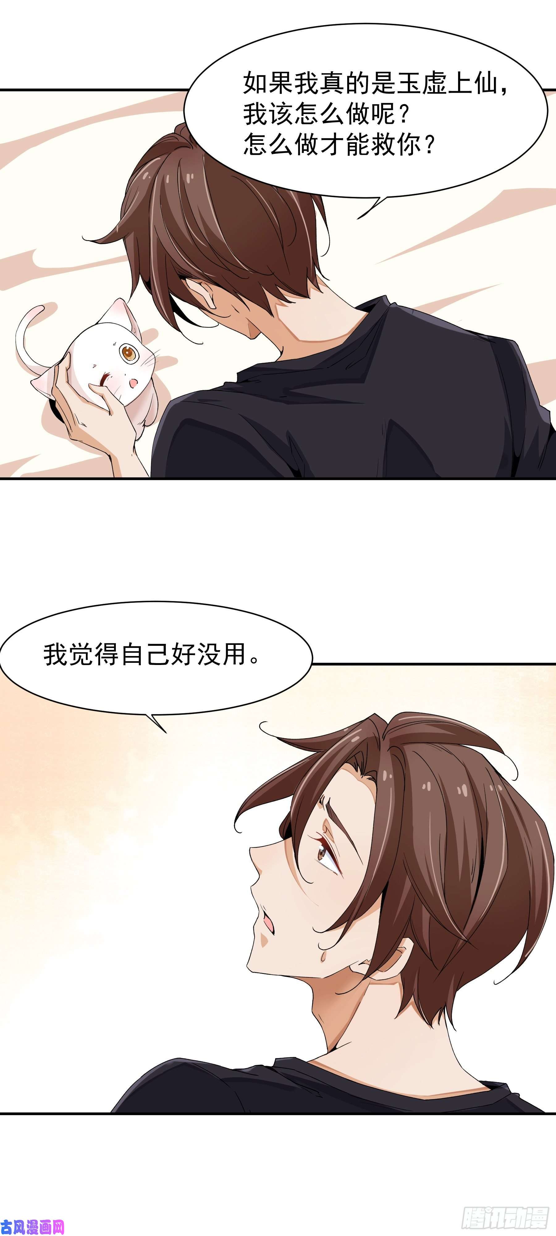 上仙，缺猫否？山雨欲来风满楼