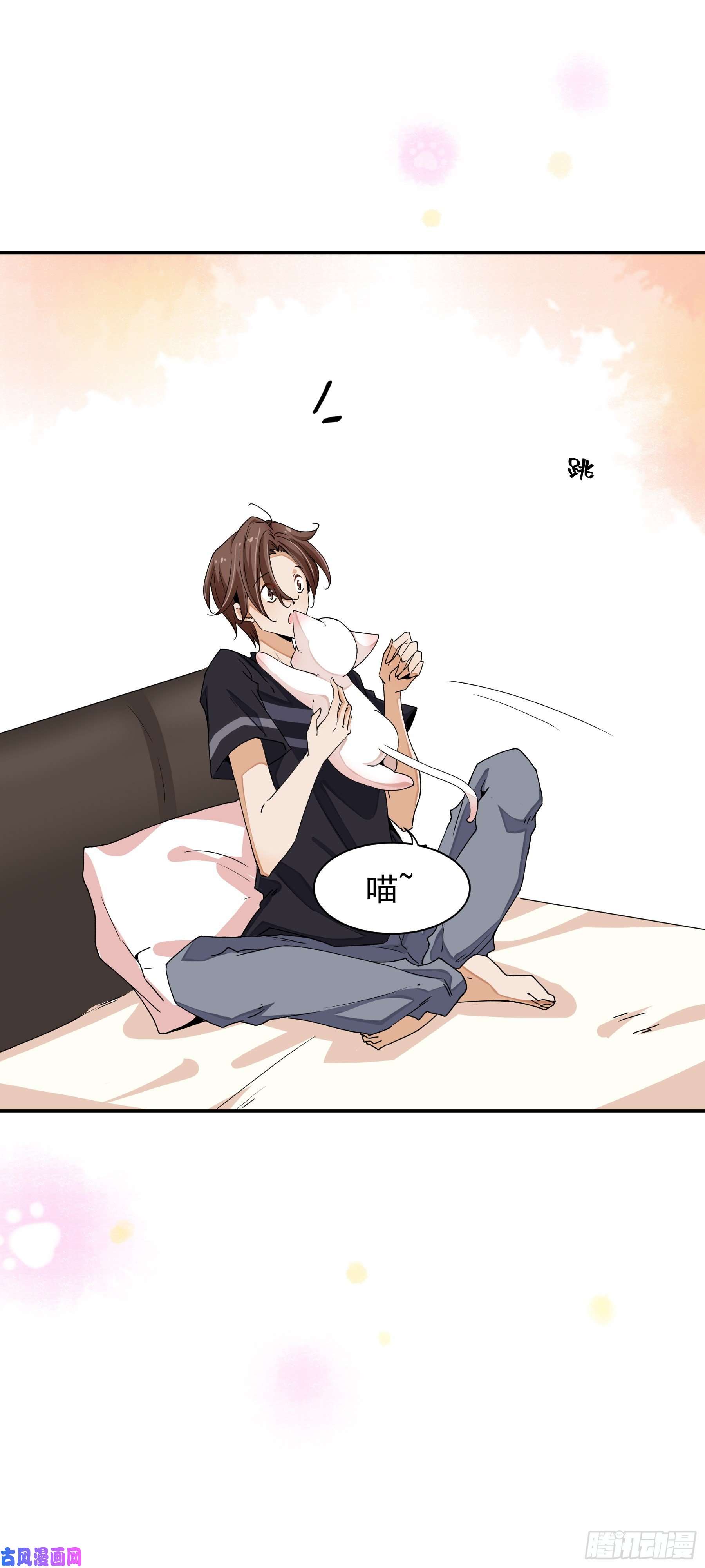 上仙，缺猫否？山雨欲来风满楼