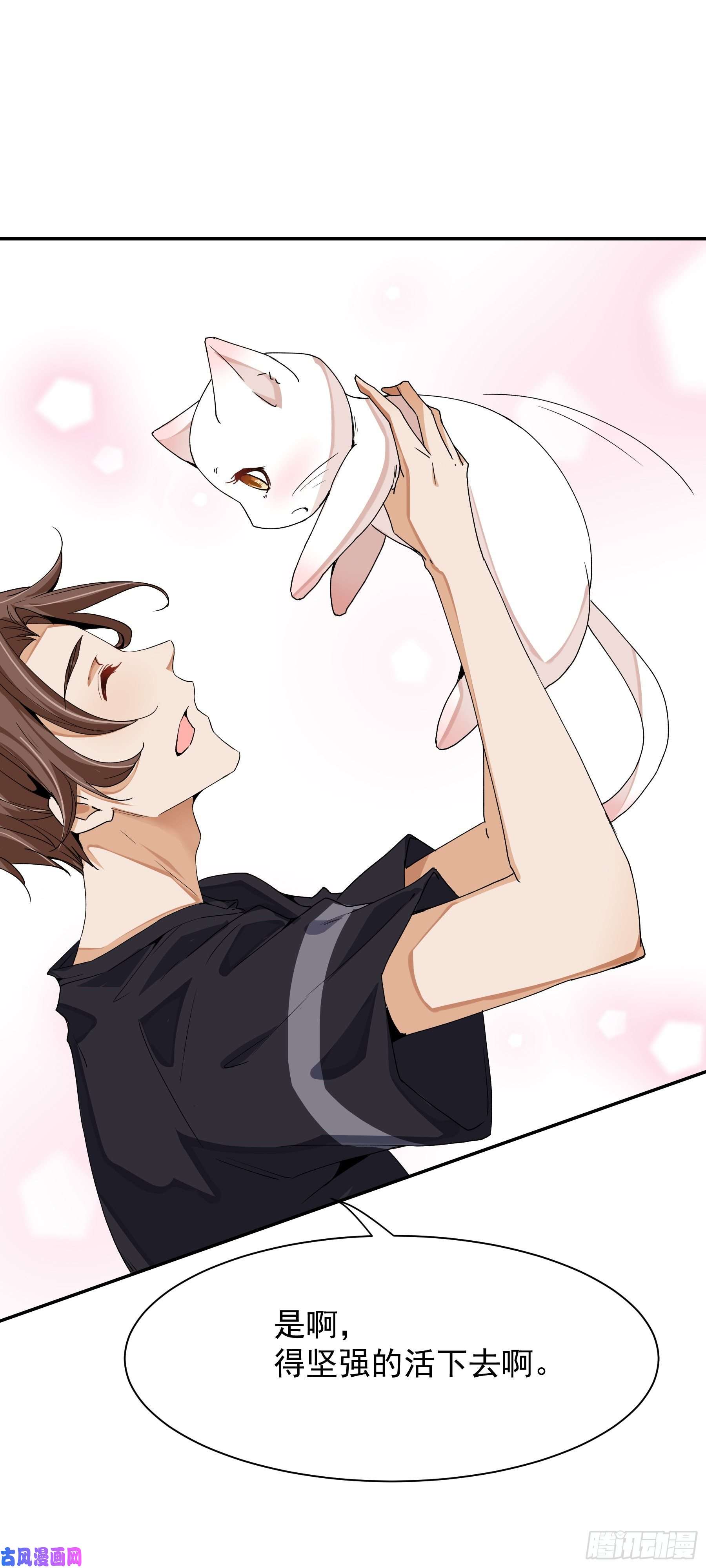 上仙，缺猫否？山雨欲来风满楼