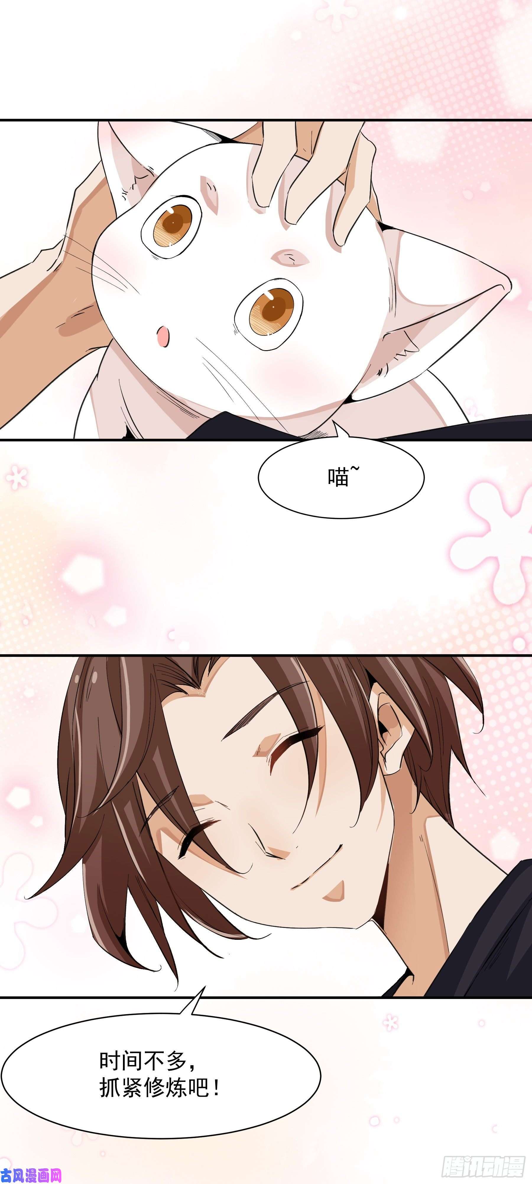 上仙，缺猫否？被盯上了