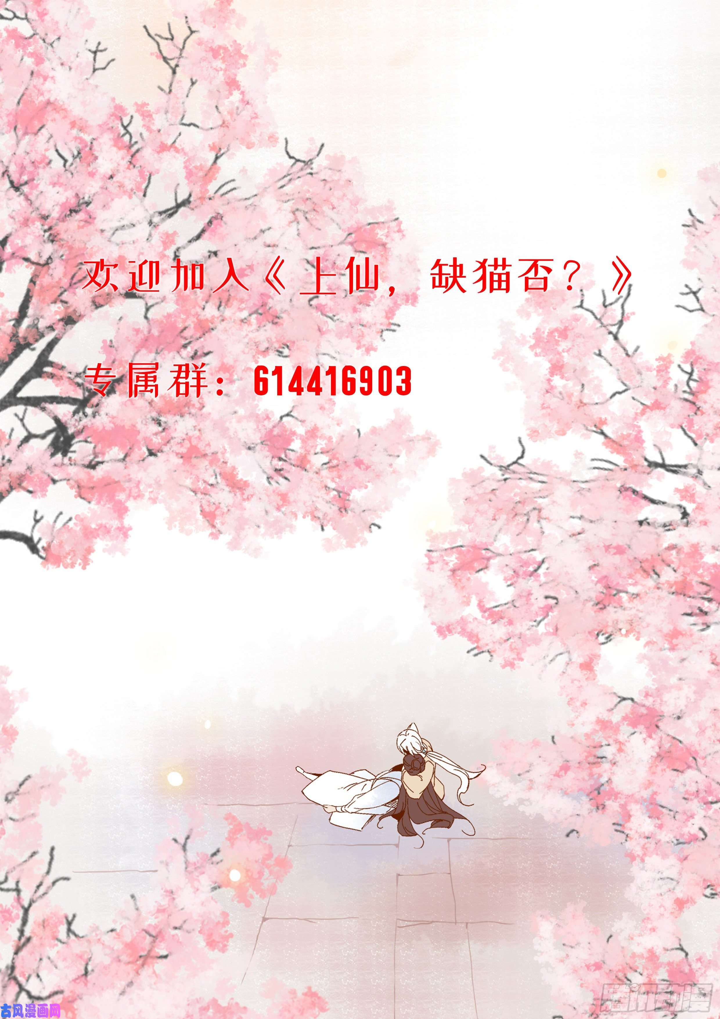 上仙，缺猫否？舔我干嘛？