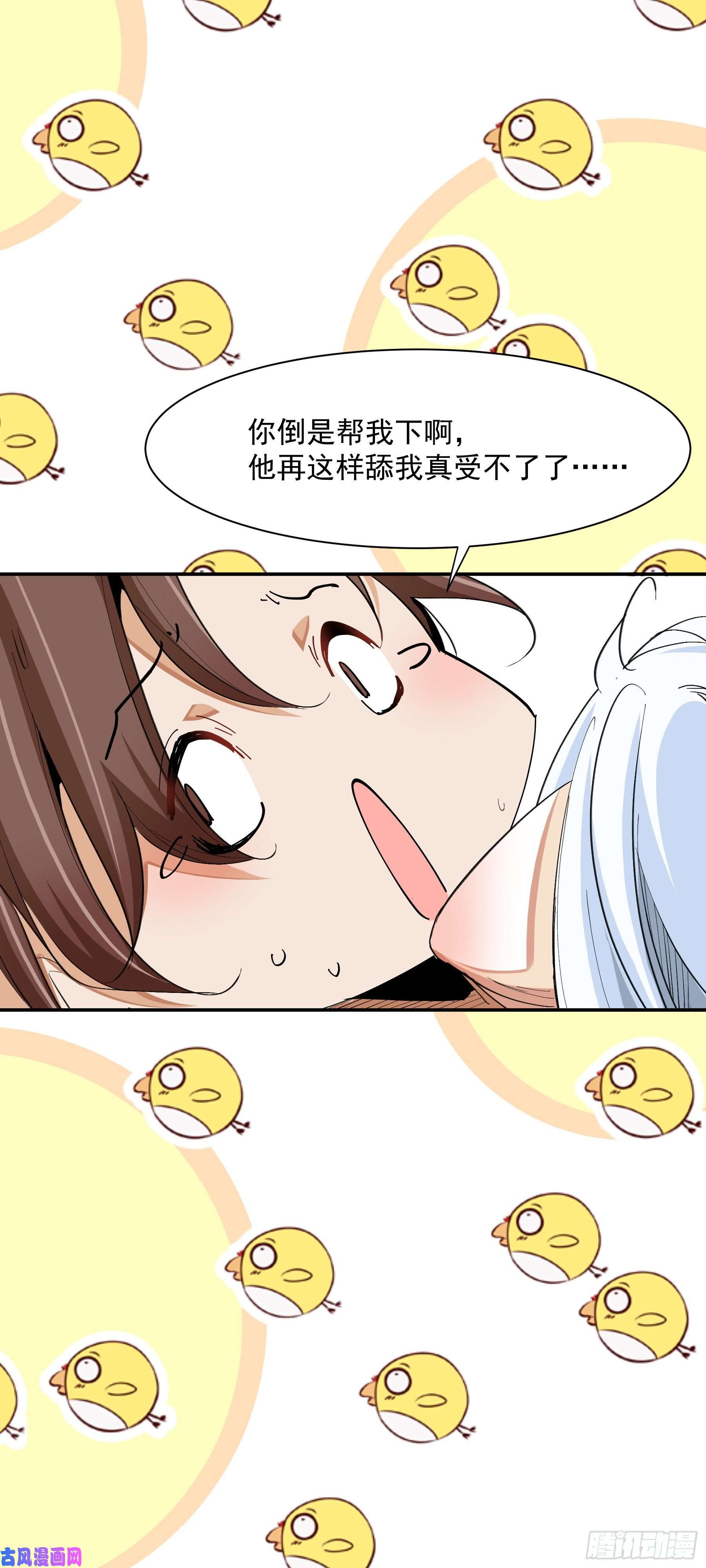 上仙，缺猫否？前世没有说出口的事