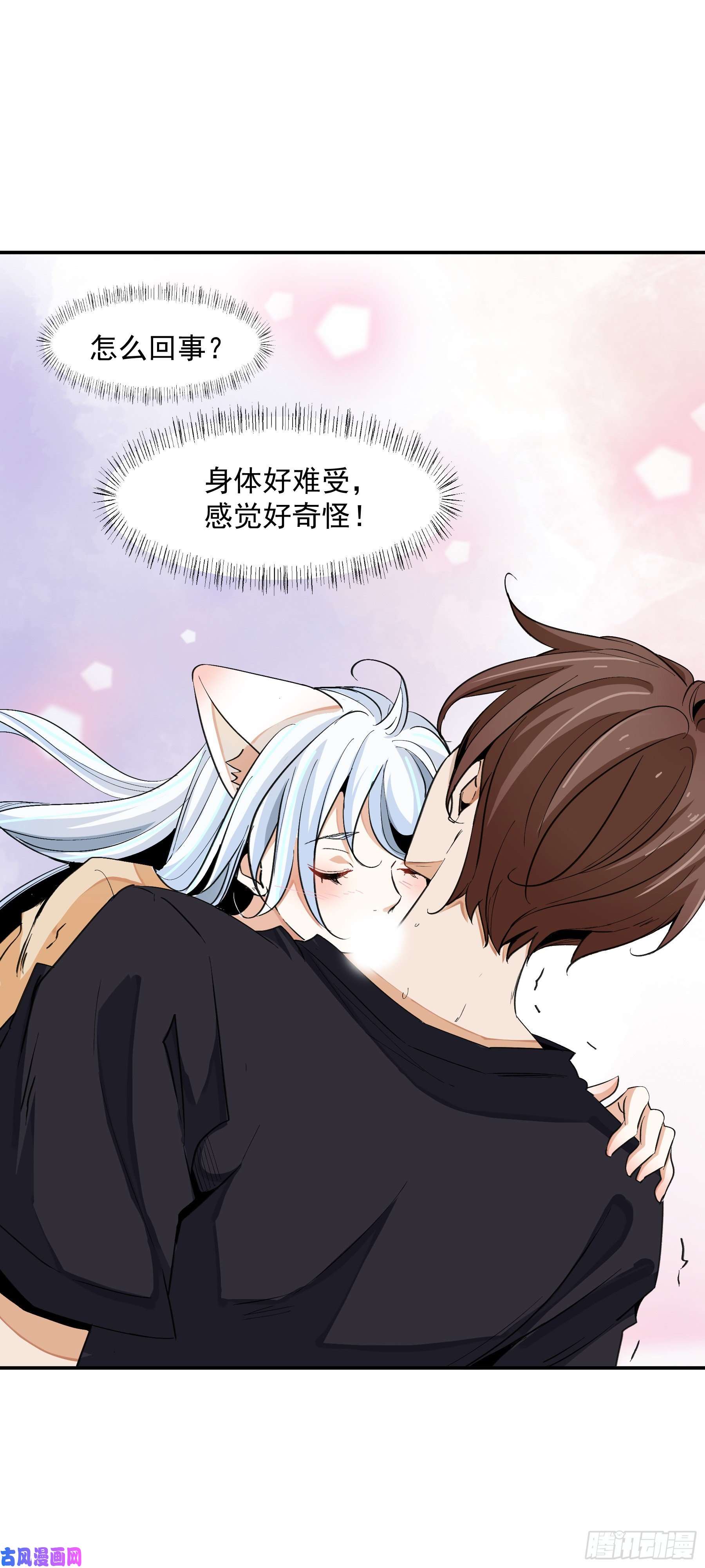 上仙，缺猫否？前世没有说出口的事