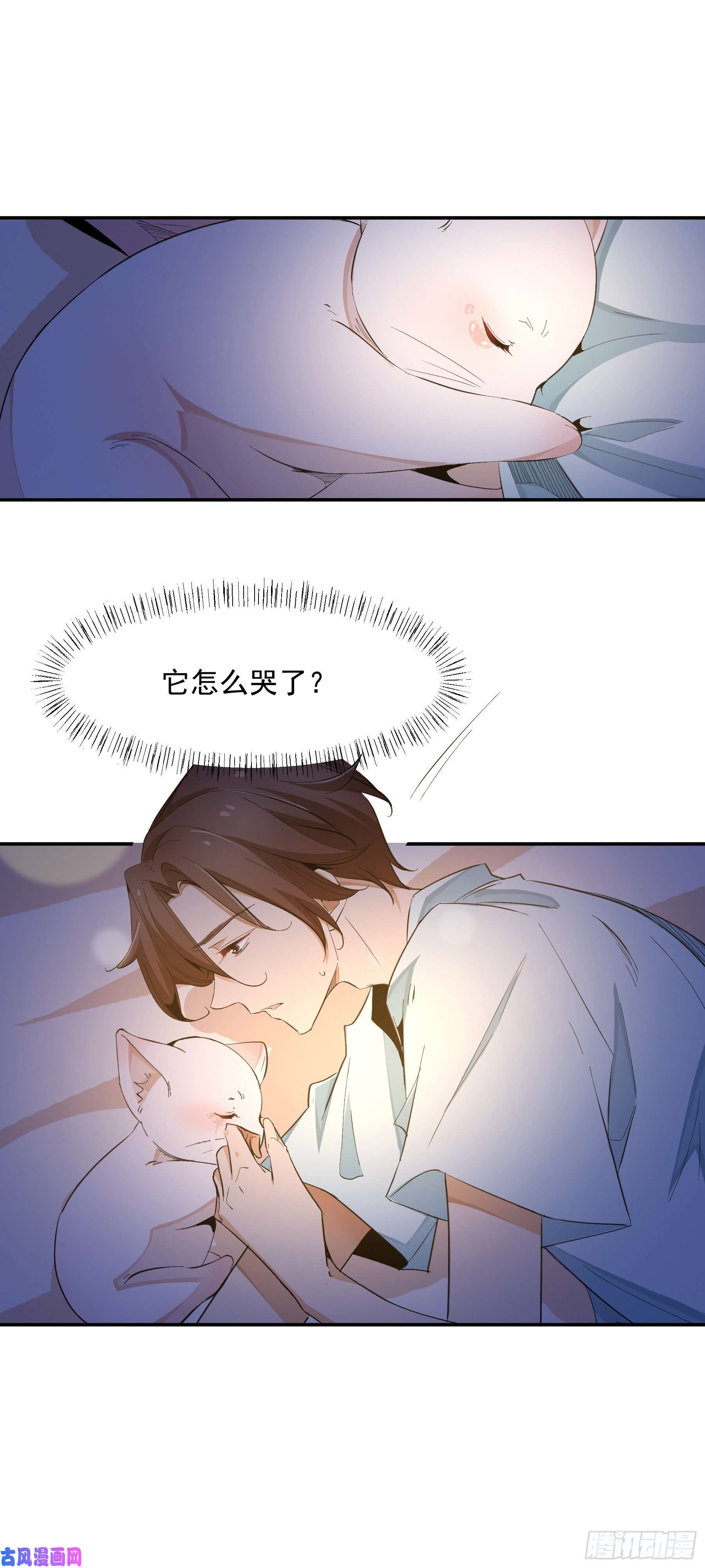 上仙，缺猫否？喜欢我好吗？