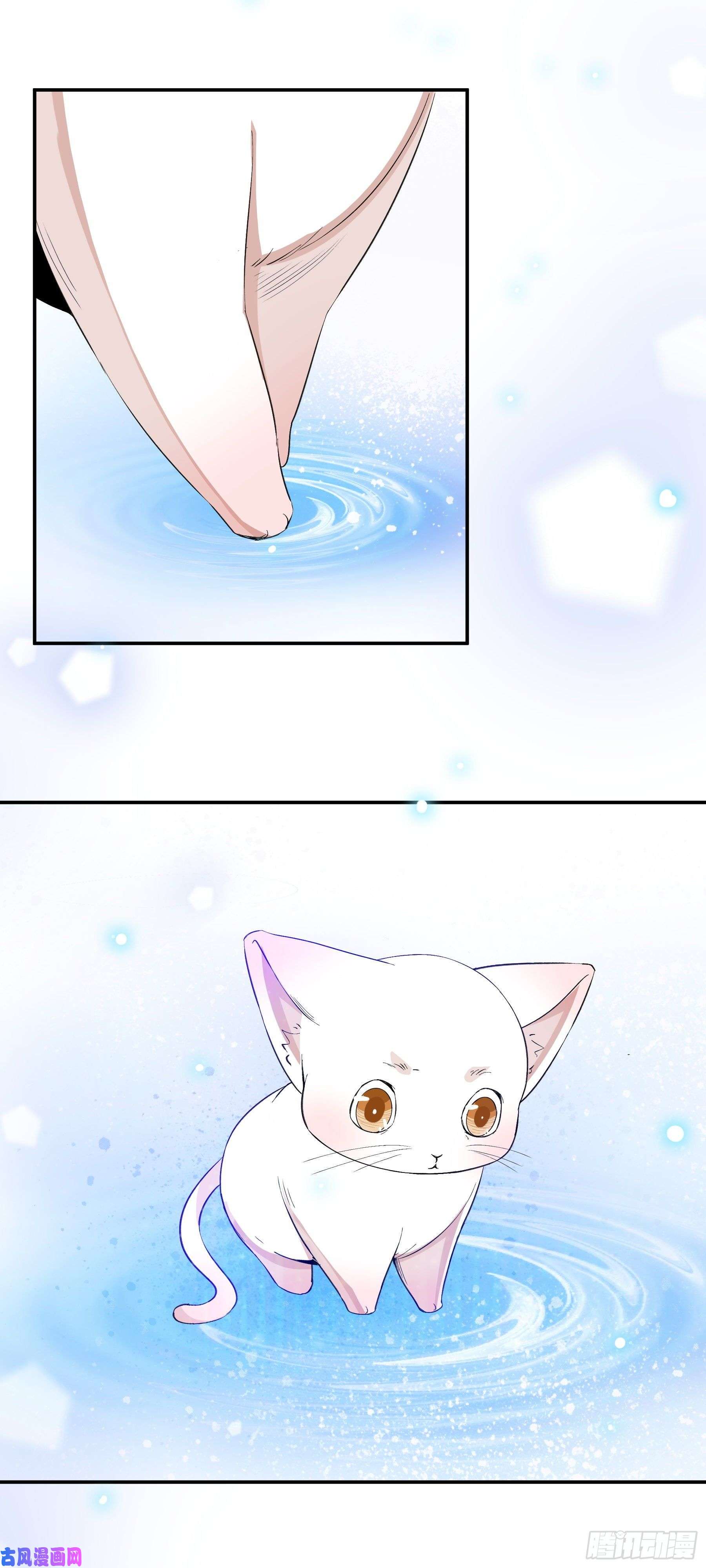 上仙，缺猫否？喜欢我好吗？