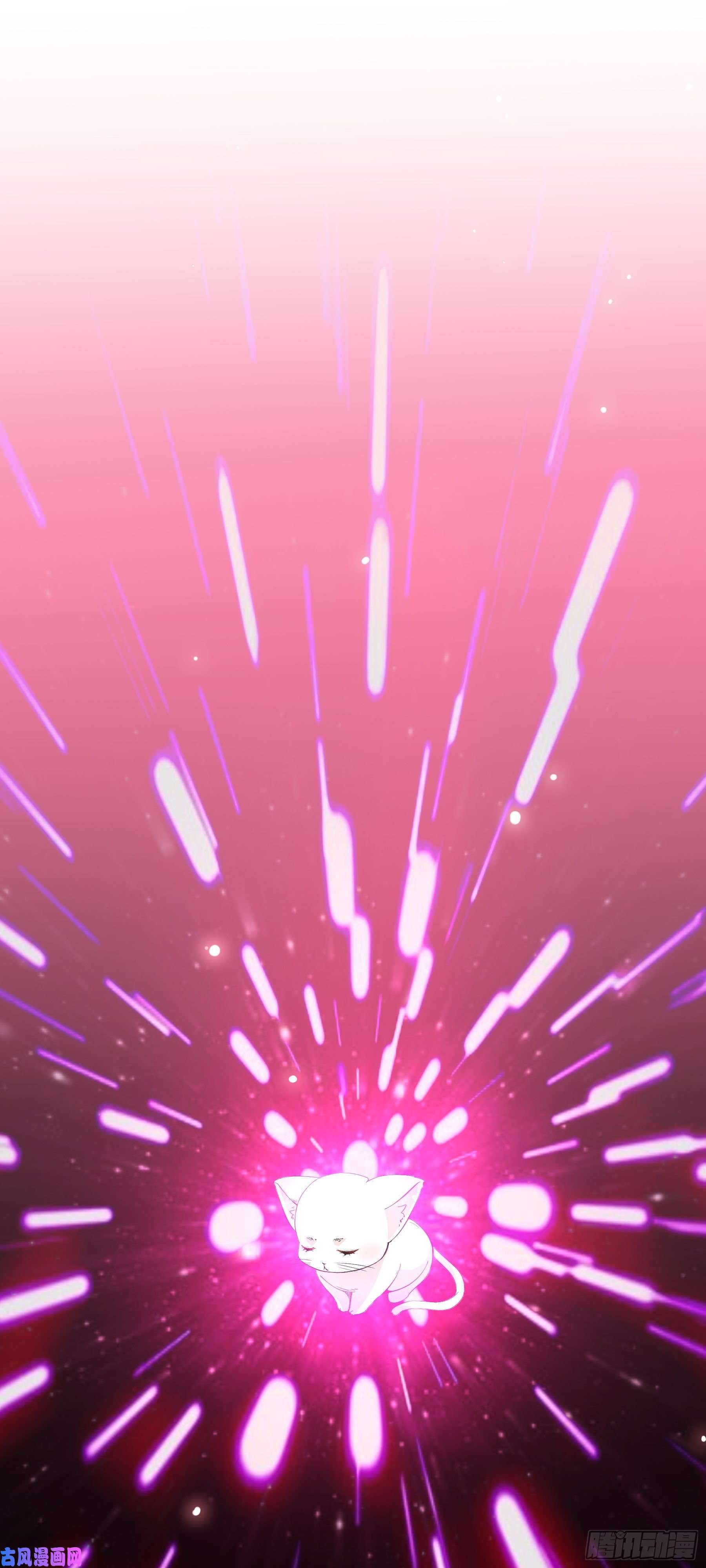 上仙，缺猫否？喜欢我好吗？