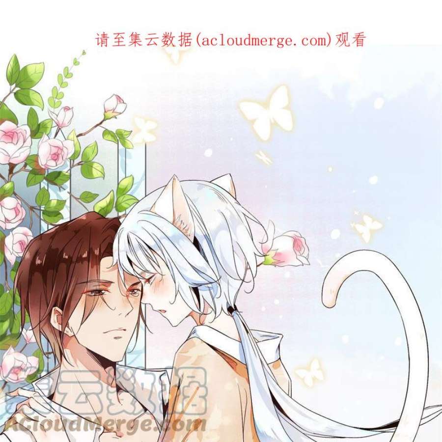 上仙，缺猫否？玉如意