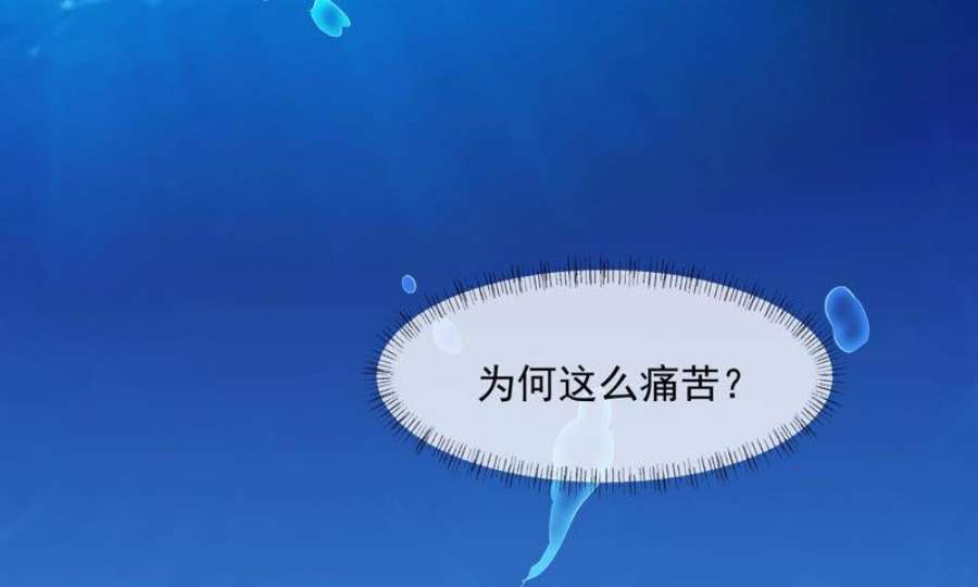 上仙，缺猫否？玉如意