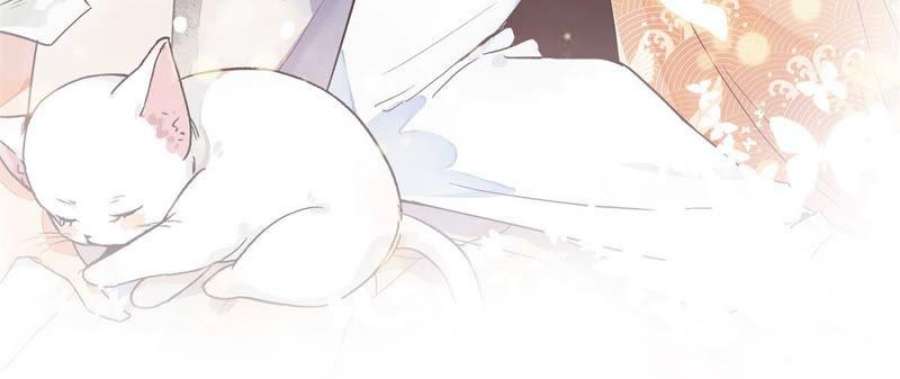 上仙，缺猫否？玉如意