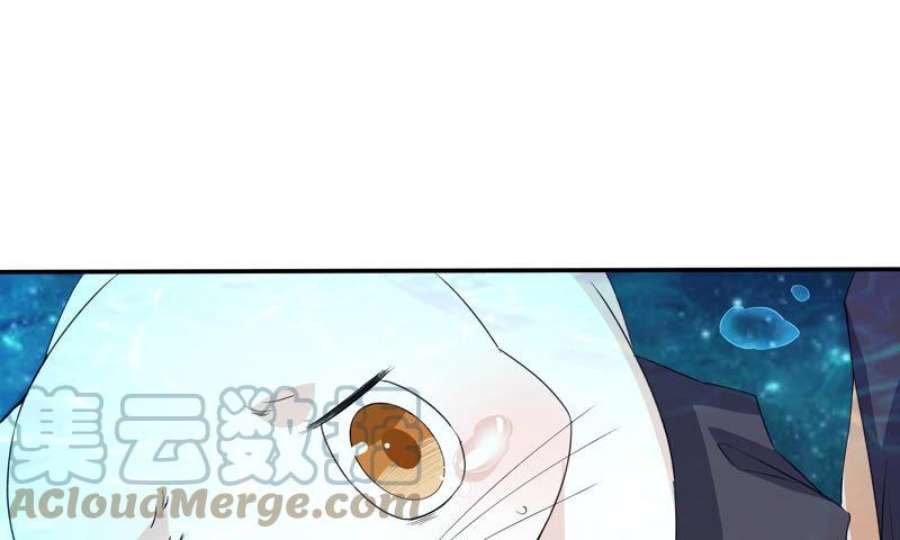 上仙，缺猫否？玉如意