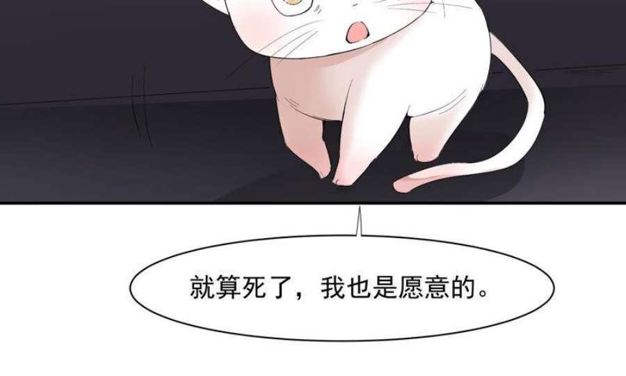 上仙，缺猫否？月下独酌