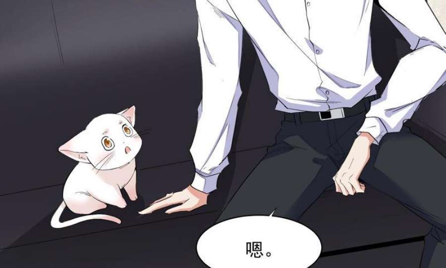 上仙，缺猫否？月下独酌