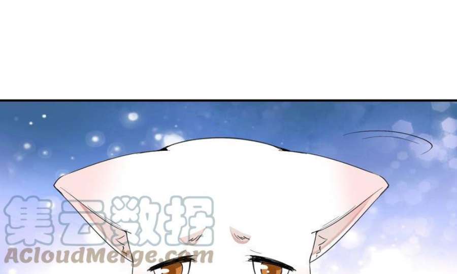 上仙，缺猫否？月下独酌