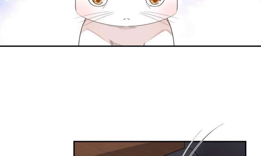 上仙，缺猫否？月下独酌