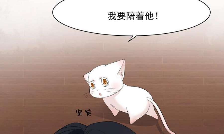 上仙，缺猫否？月下独酌