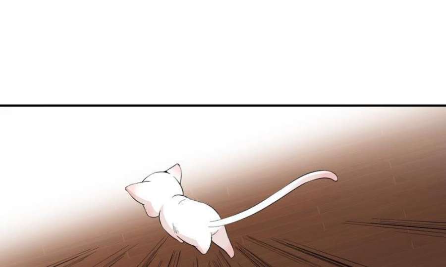 上仙，缺猫否？月下独酌