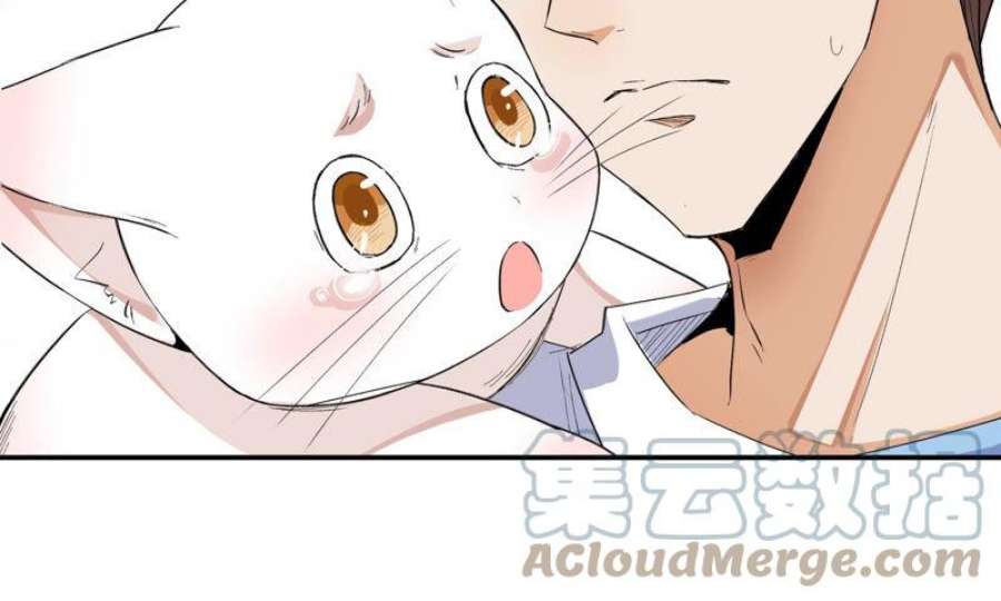 上仙，缺猫否？月下独酌