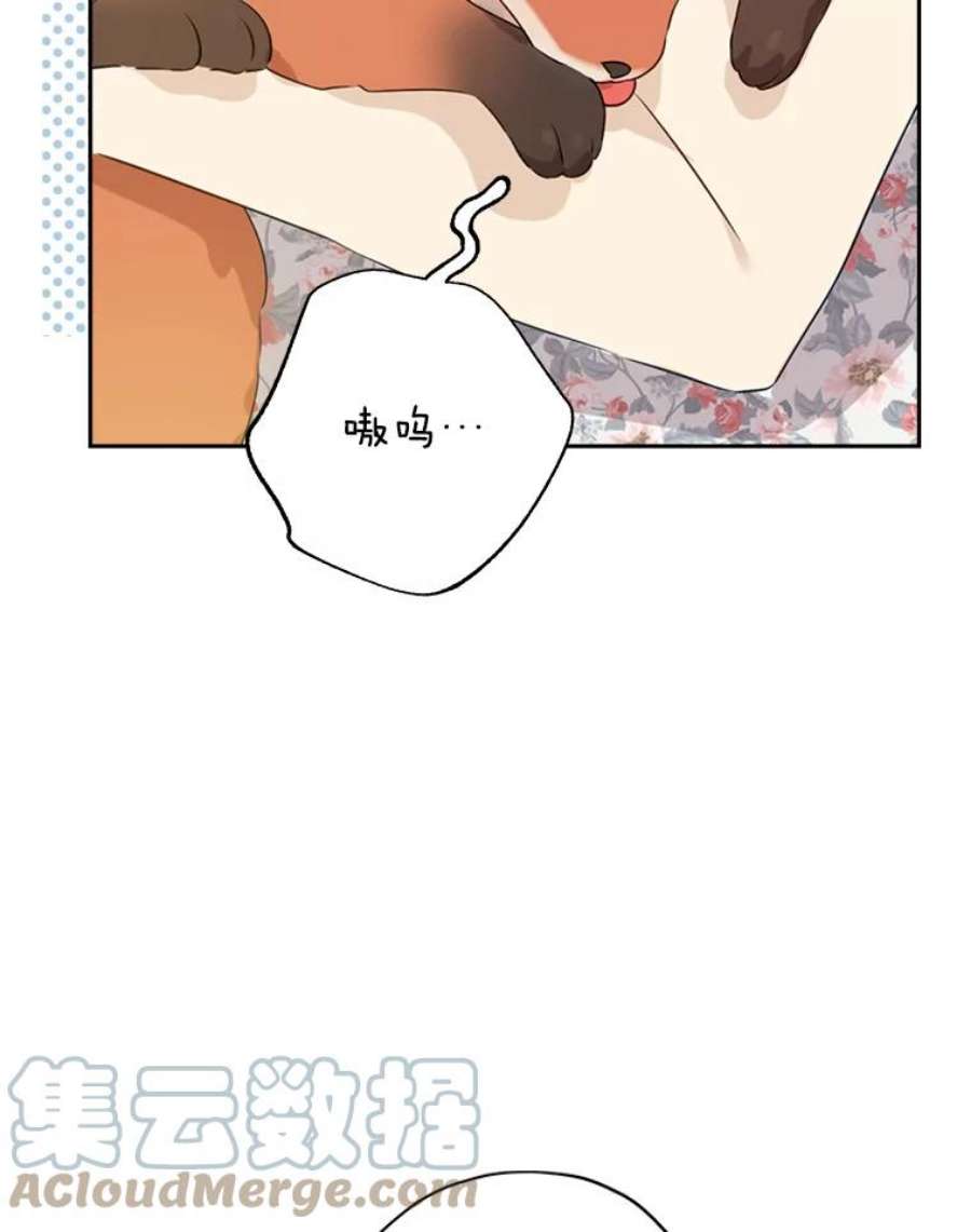 真与假的精灵师少女72.敌意