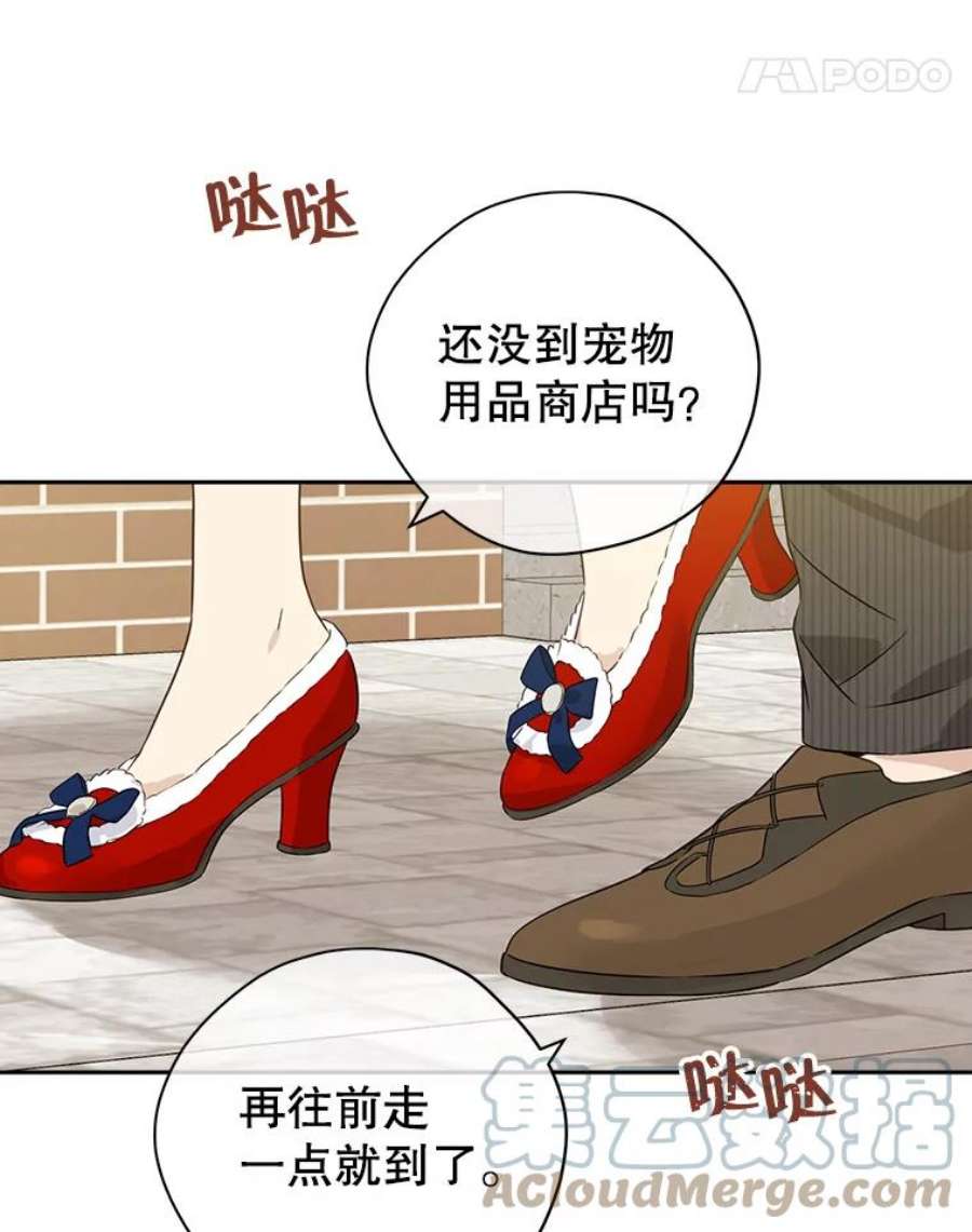 真与假的精灵师少女72.敌意